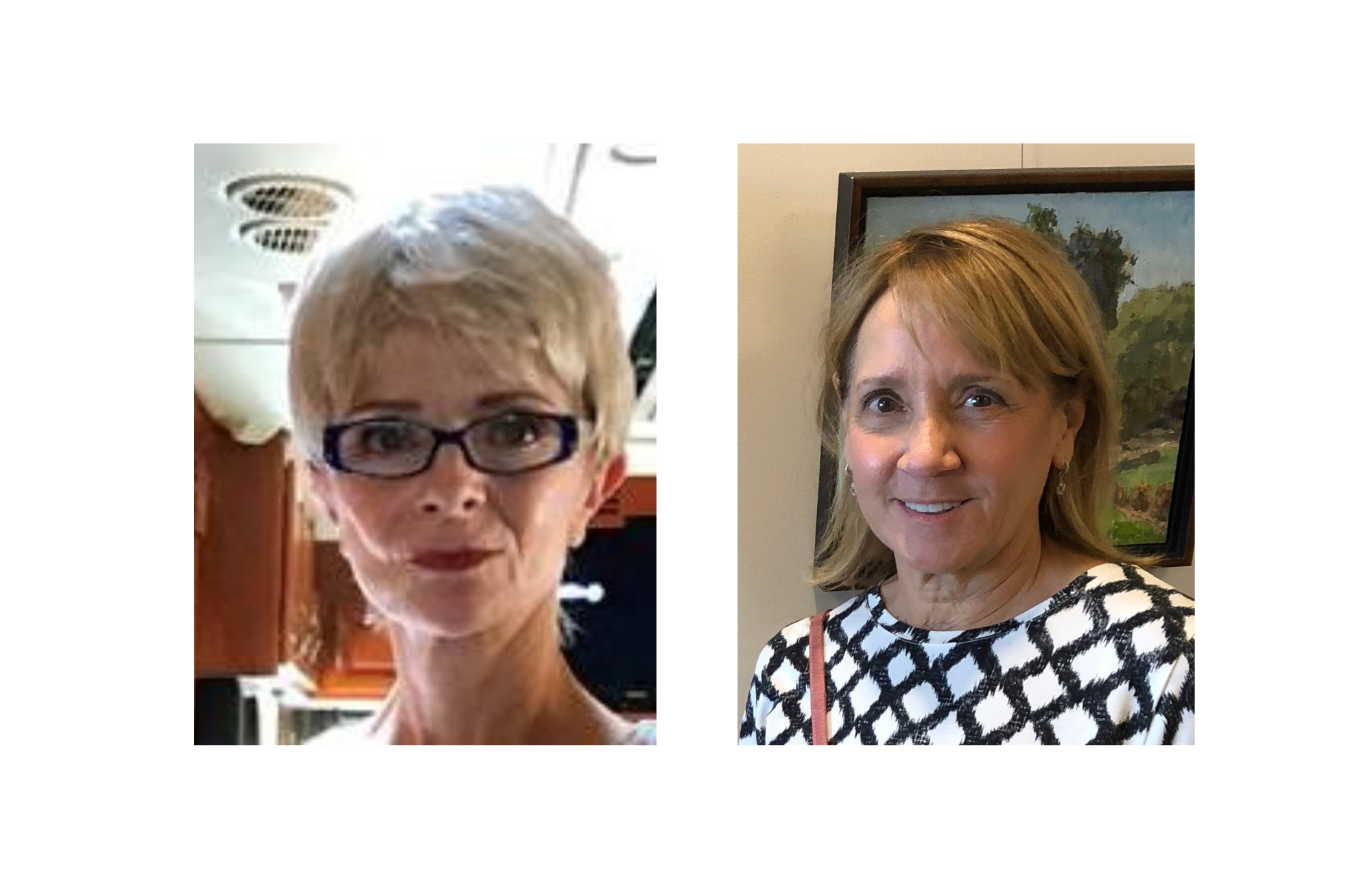  Artist Opening Reception for Carolyn DeMaggio &amp; Pat Howard - Curious Obsessions