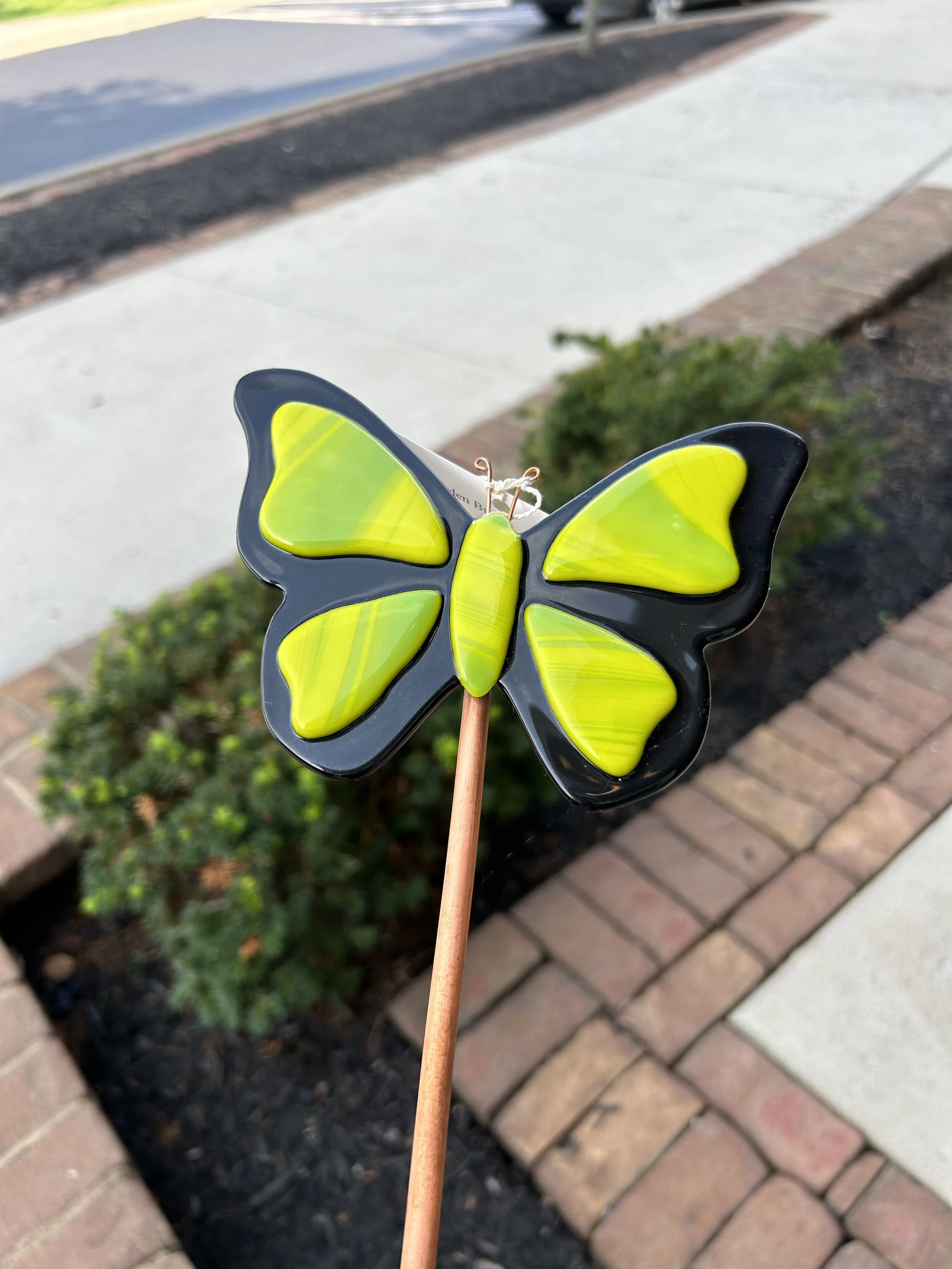 IMG_5140.jpg