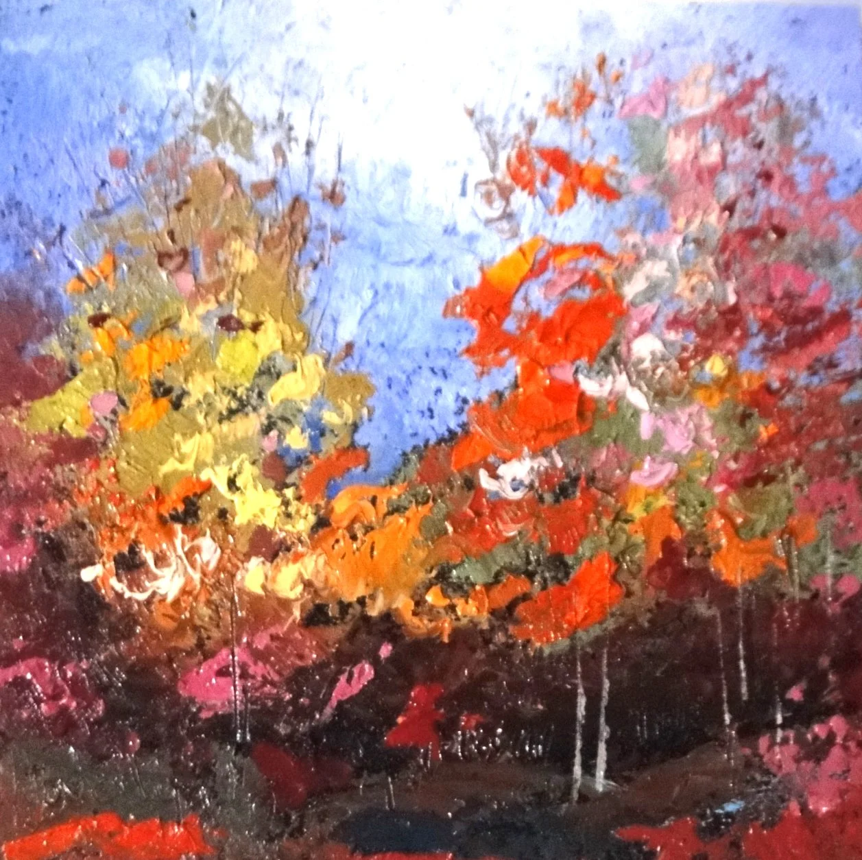 09 8x8 metro park.JPG