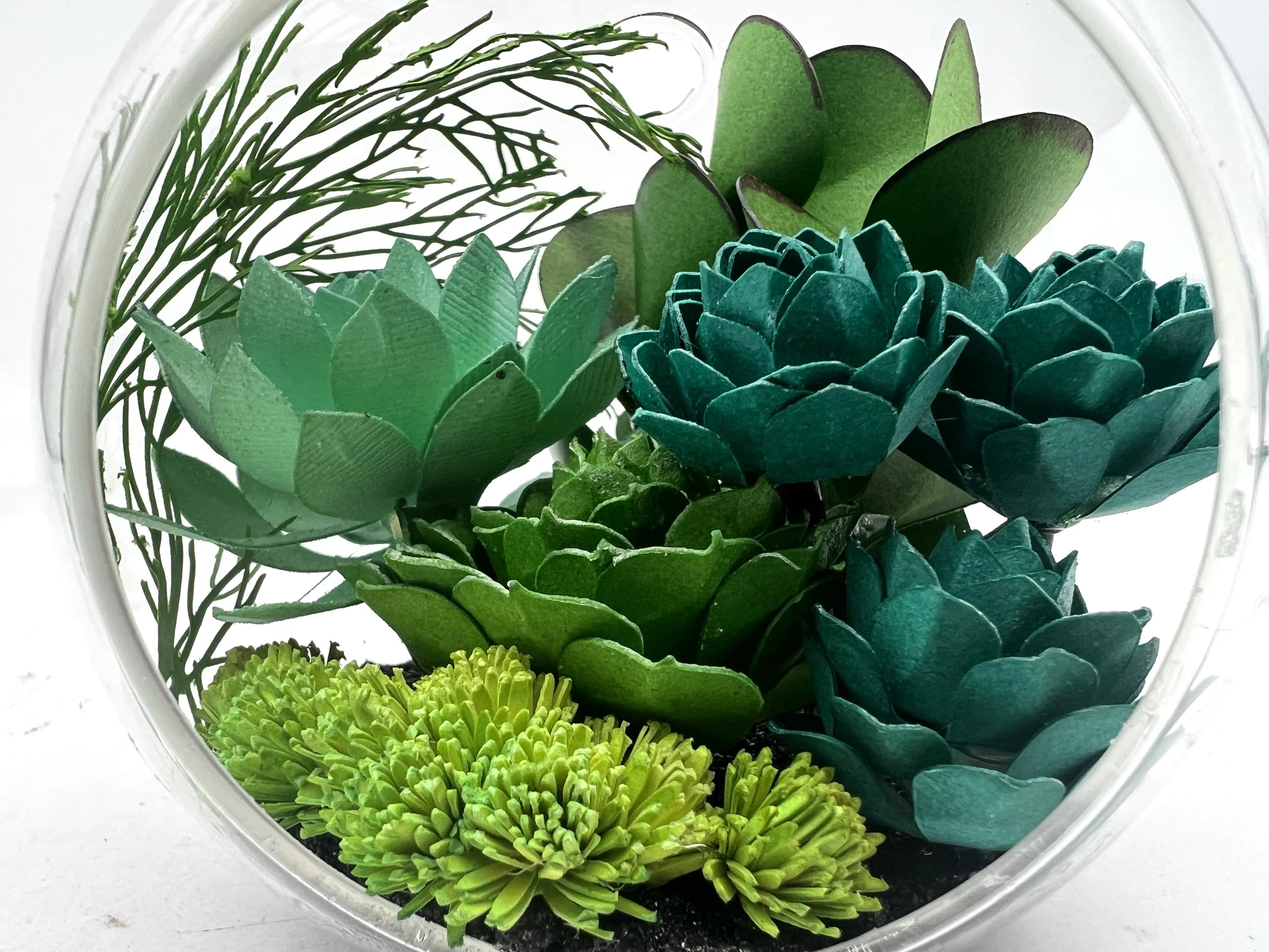 gray echevaria and jade paper 4 inches 75.jpg