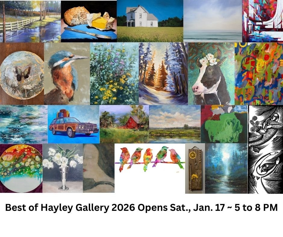 Best of Hayley Gallery 2026