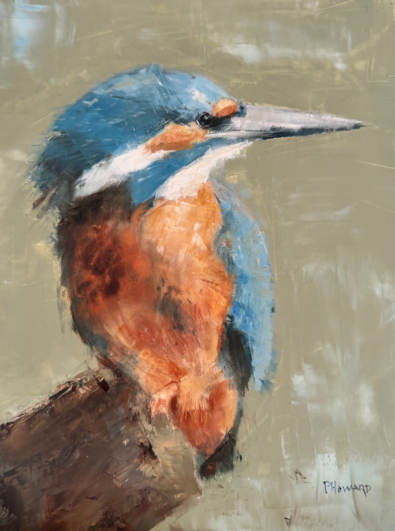 Kingfisher.jpg