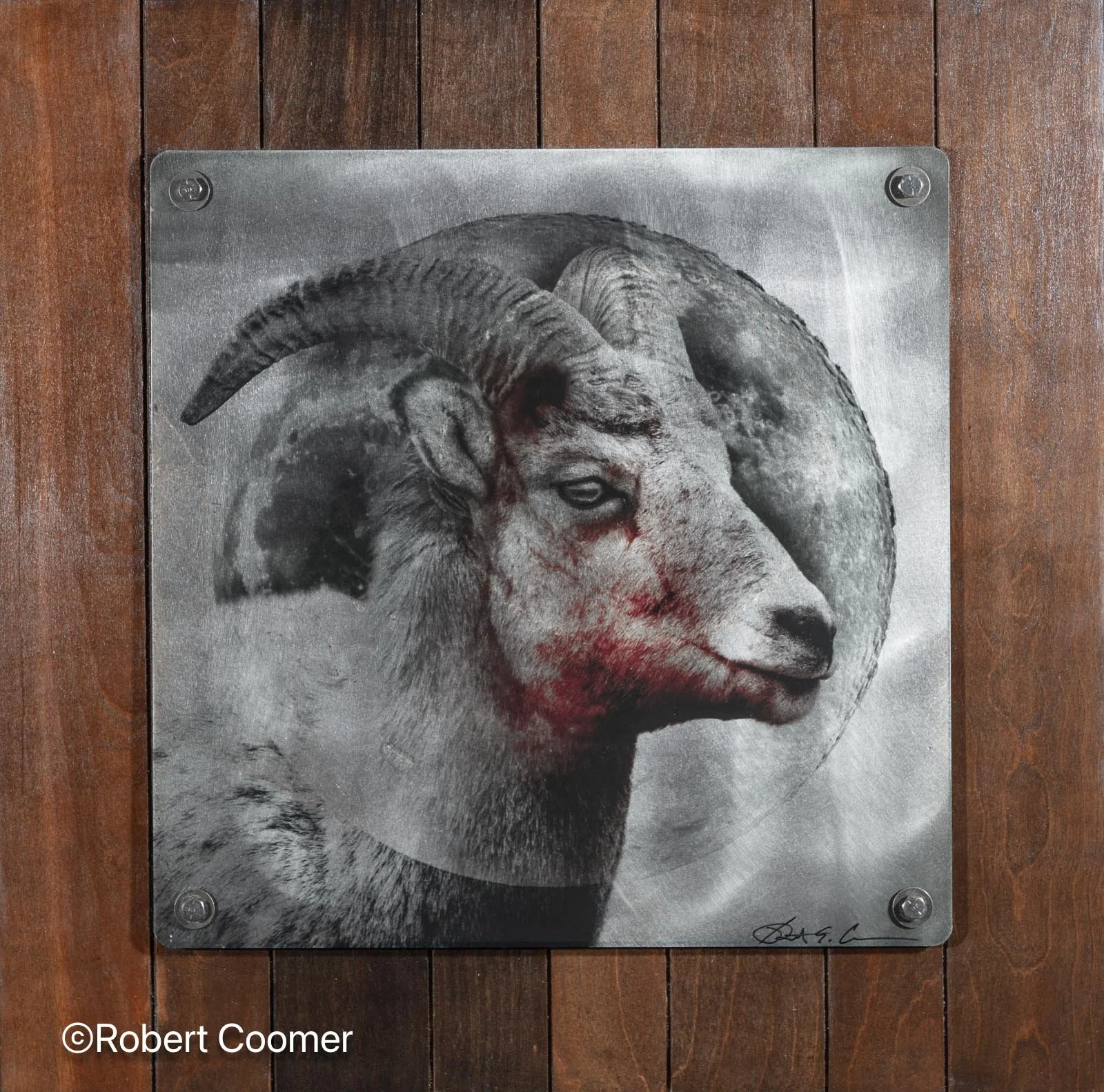 Bighorn Moon.jpg