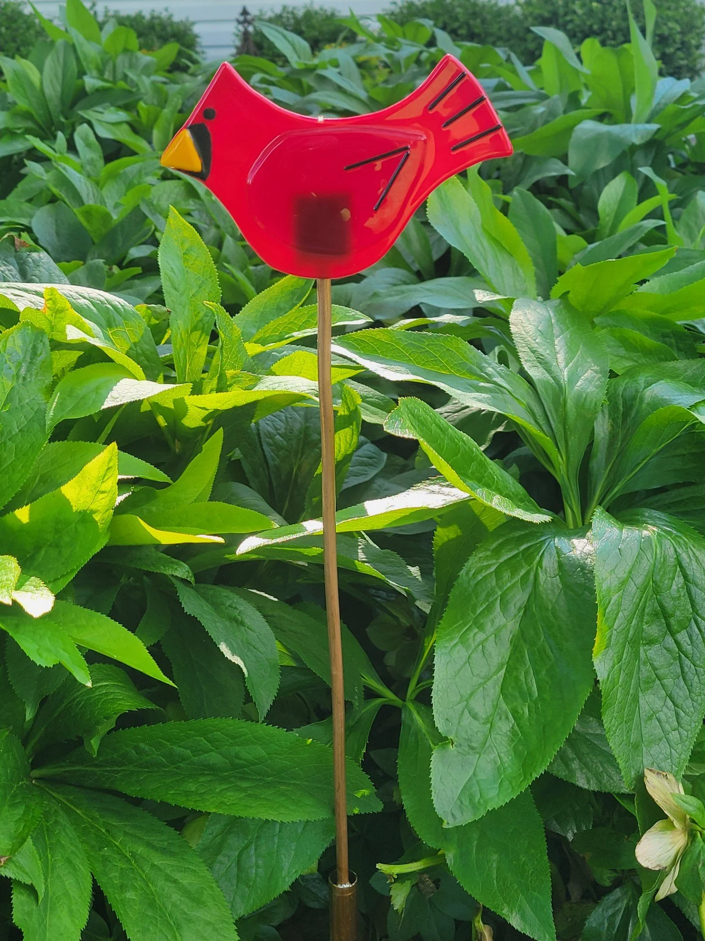 Garden Cardinal