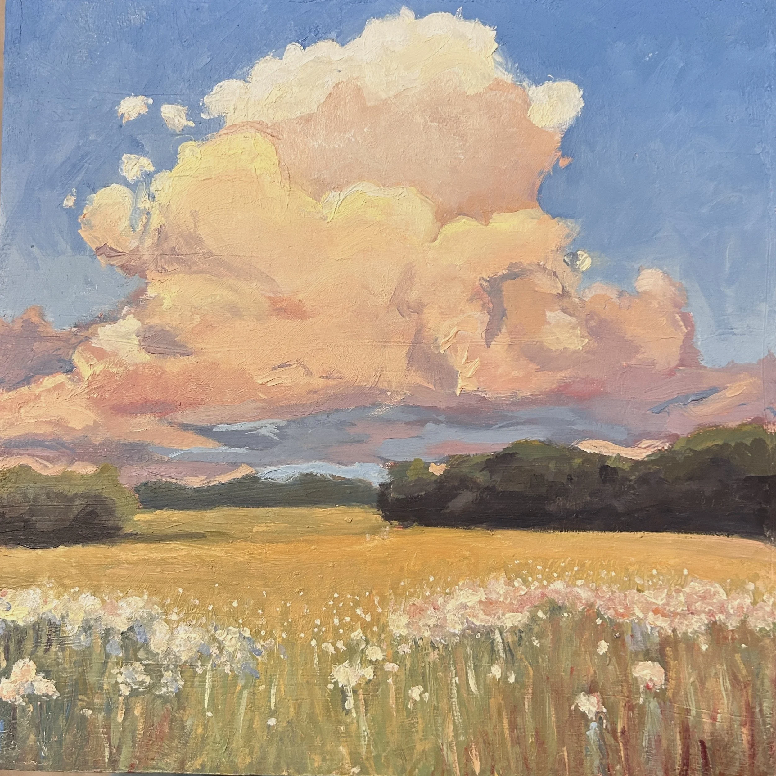 Warmth Before Dusk.jpeg