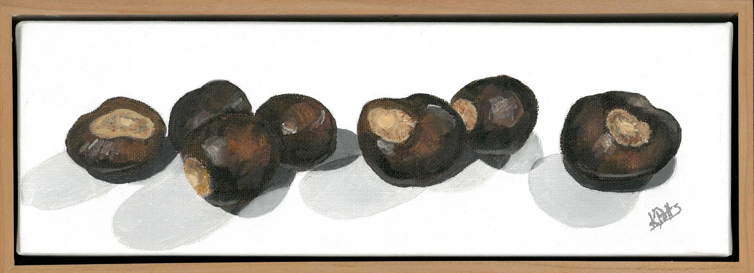 Buckeye #3