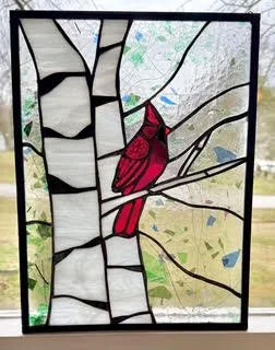 Birch Cardinal