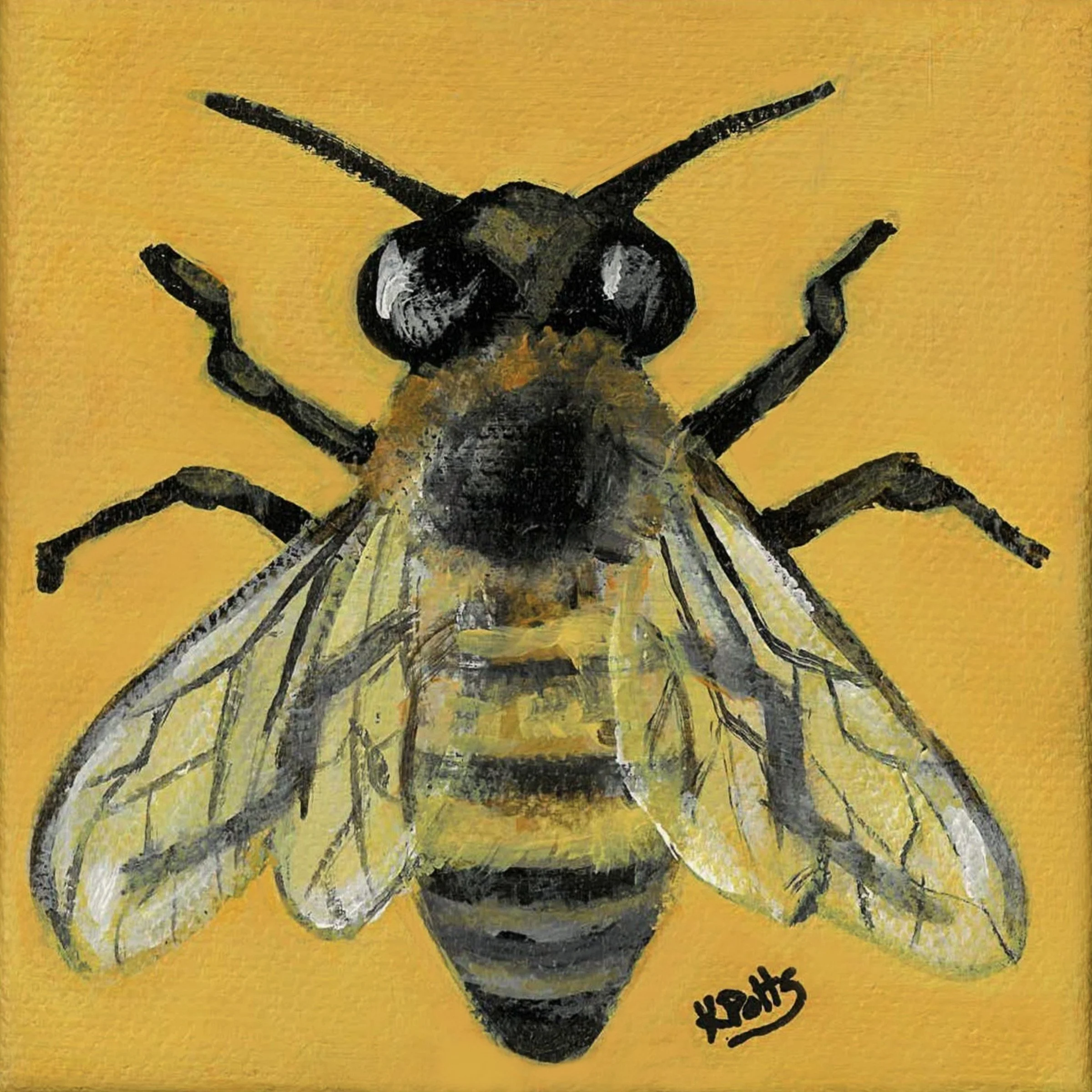 Honey Bee