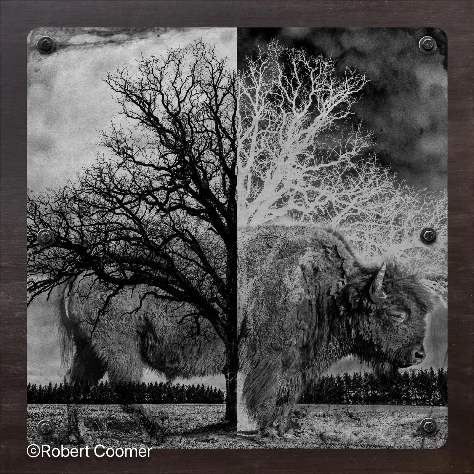 Memory Treet 2026.jpg