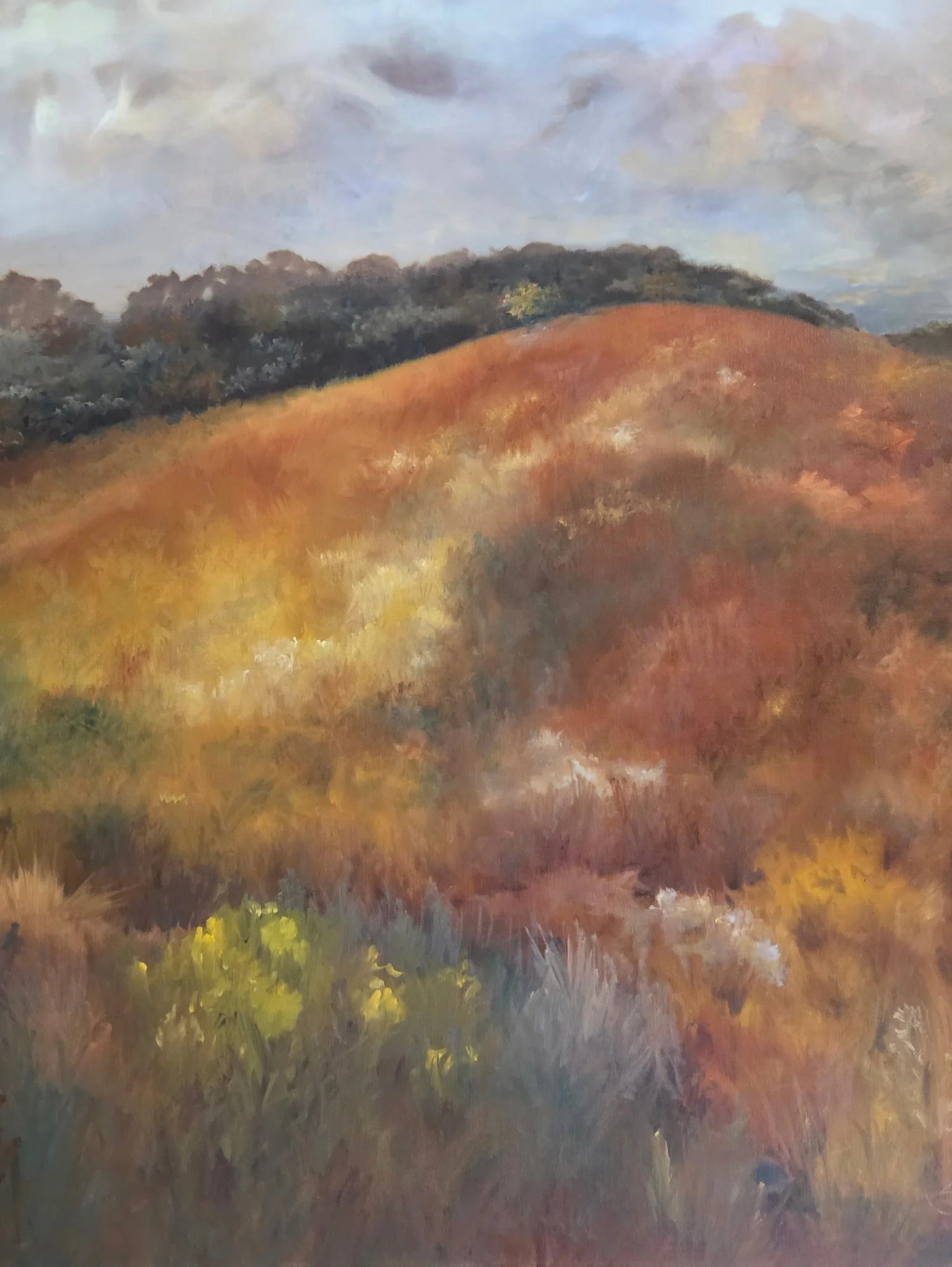 My Sledding Hill in Fall 30x40 2250 oc.jpeg