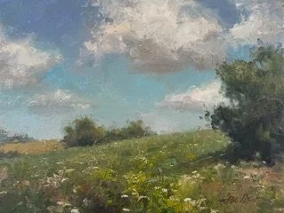 Queen Anne's Lace Meadow