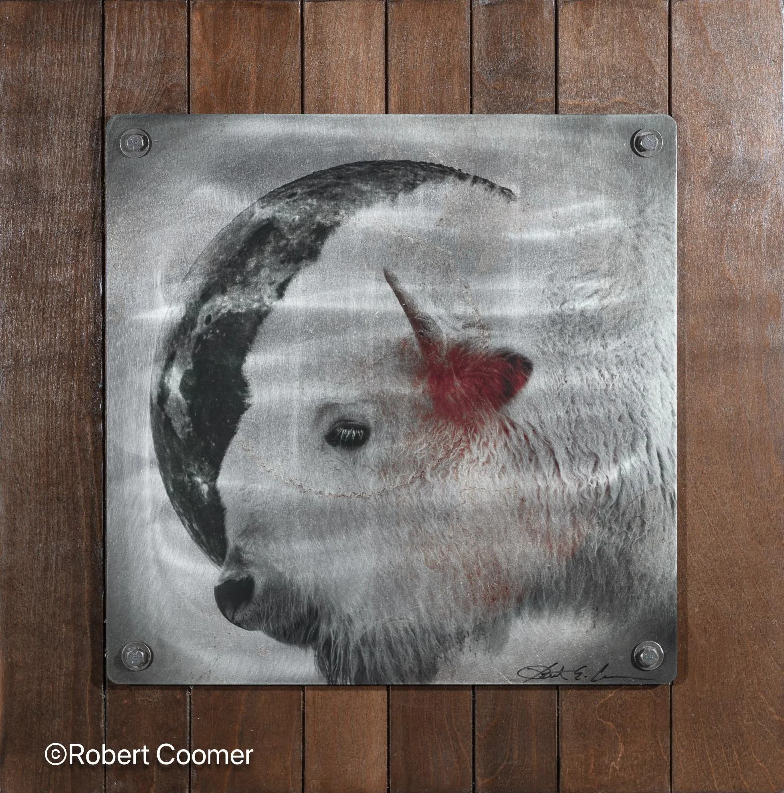 White Bison Moon.jpg