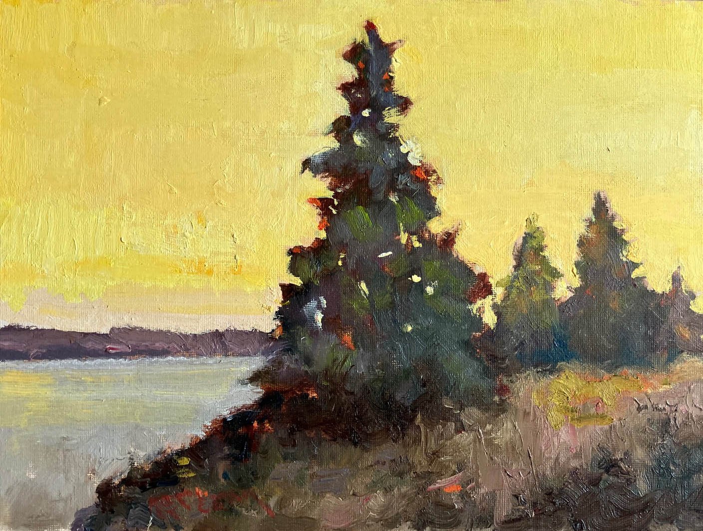 Autumn Morning
