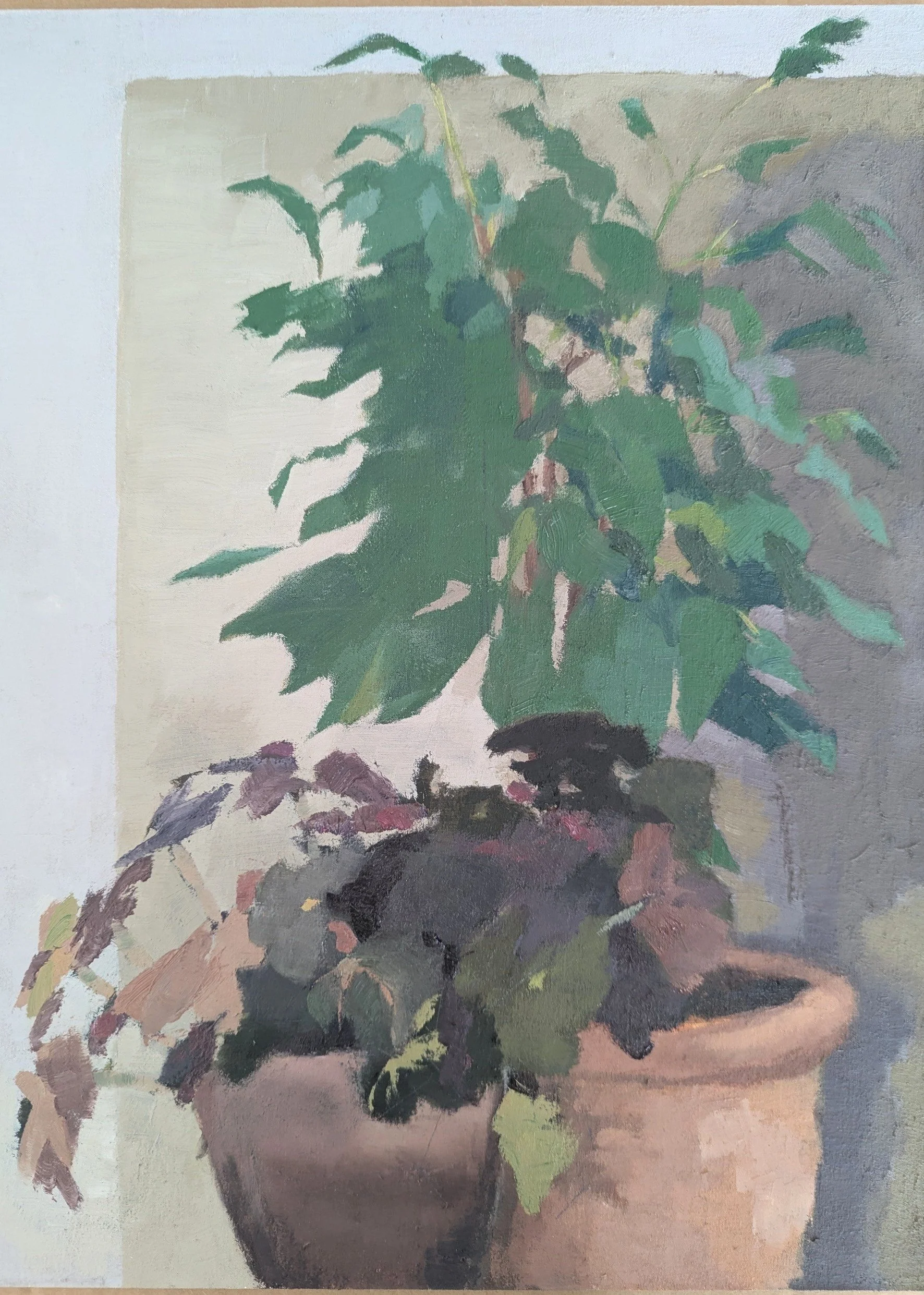 Houseplants