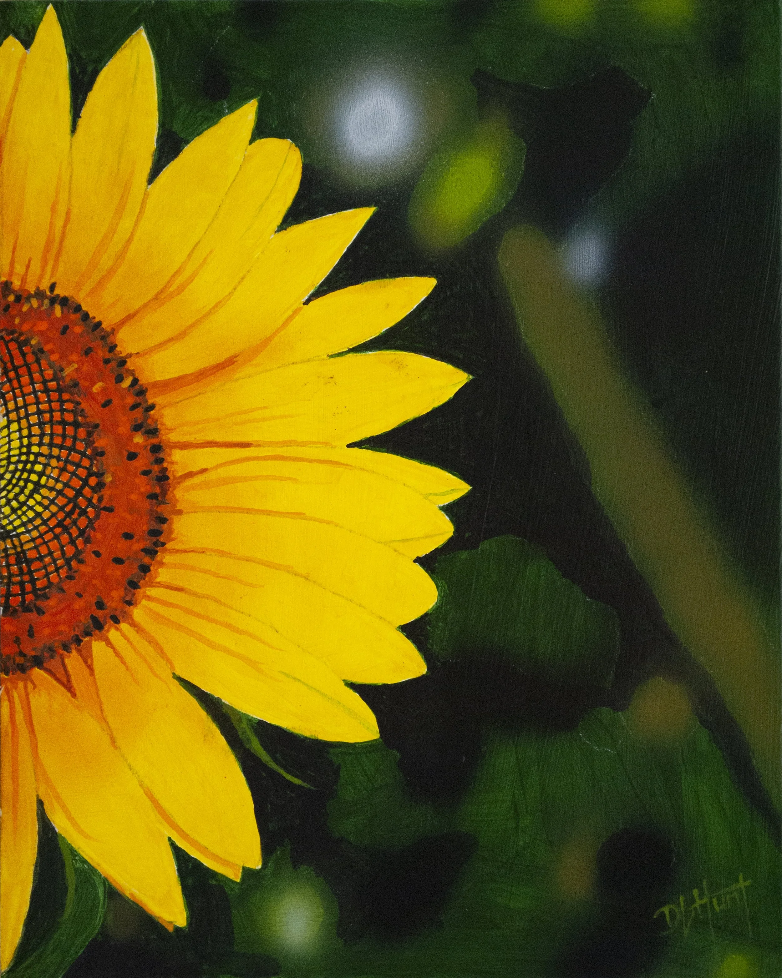 Sunflower Half.jpg