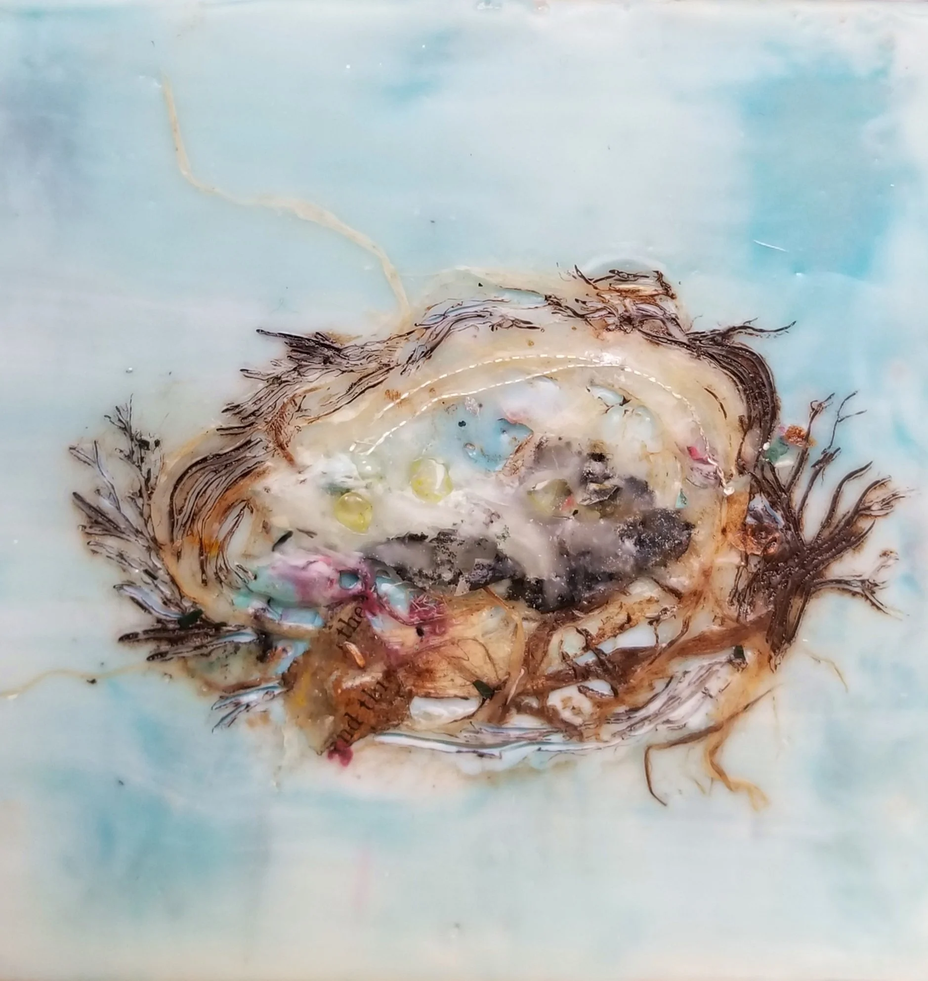 Nest IV