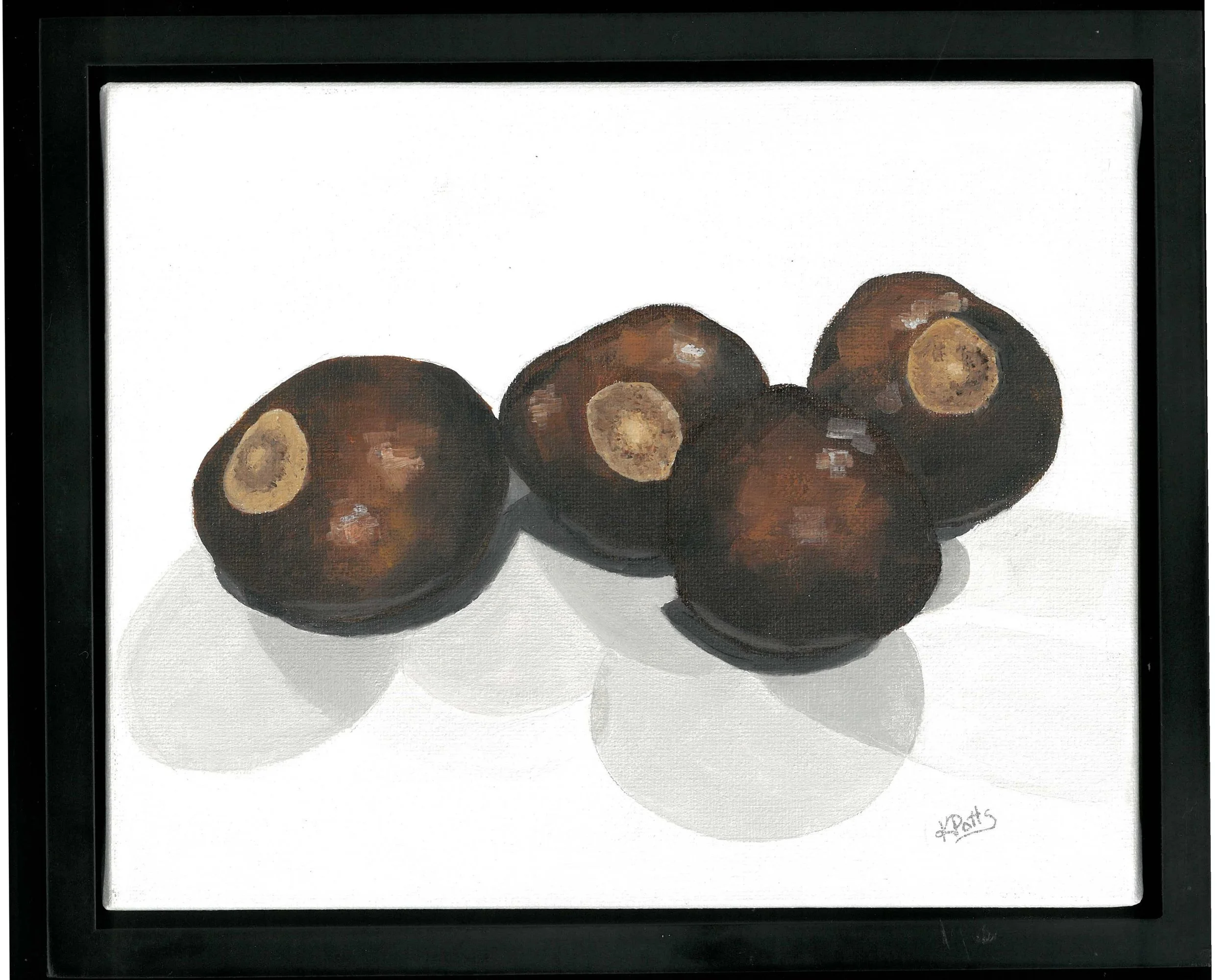Buckeye #7
