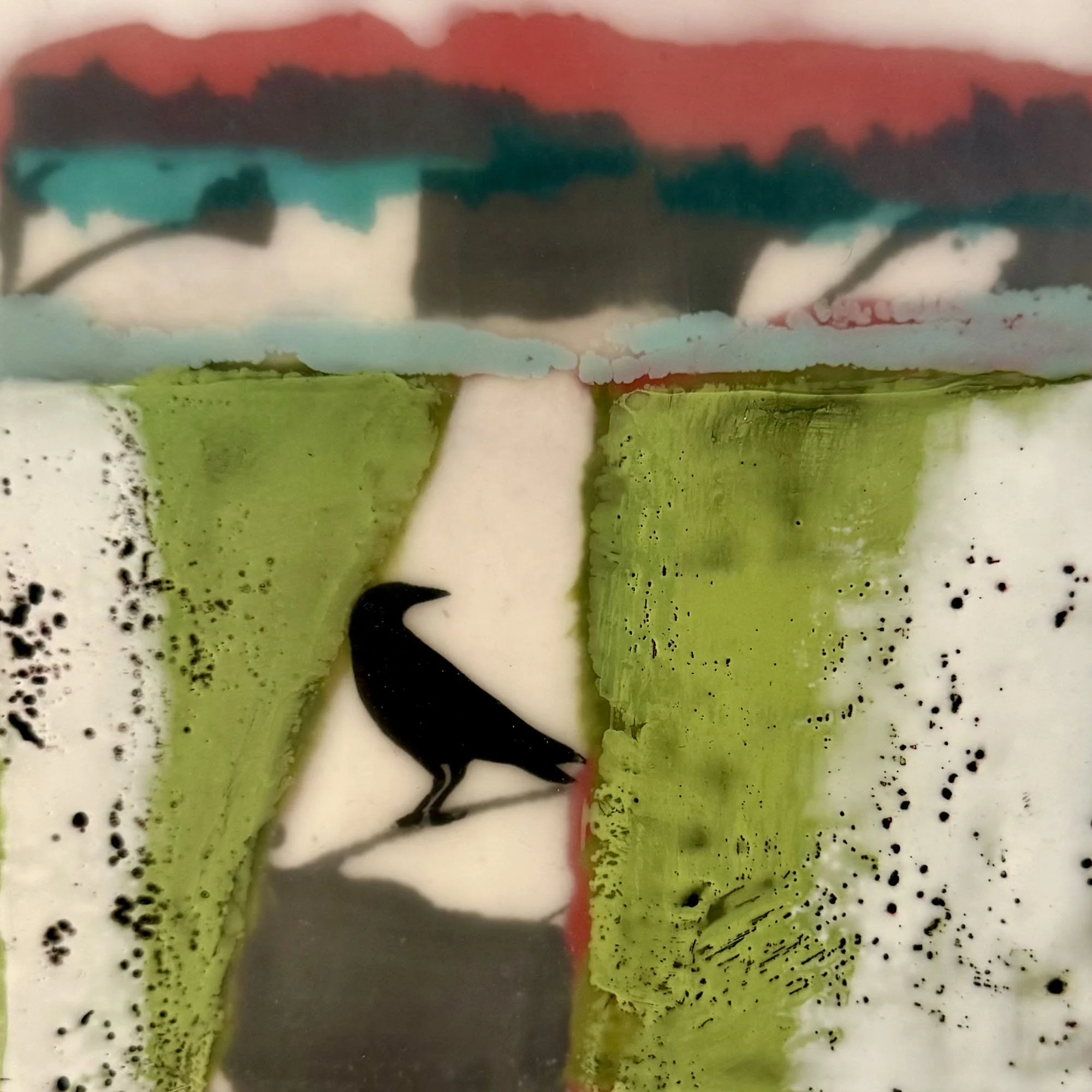 The Green Divide