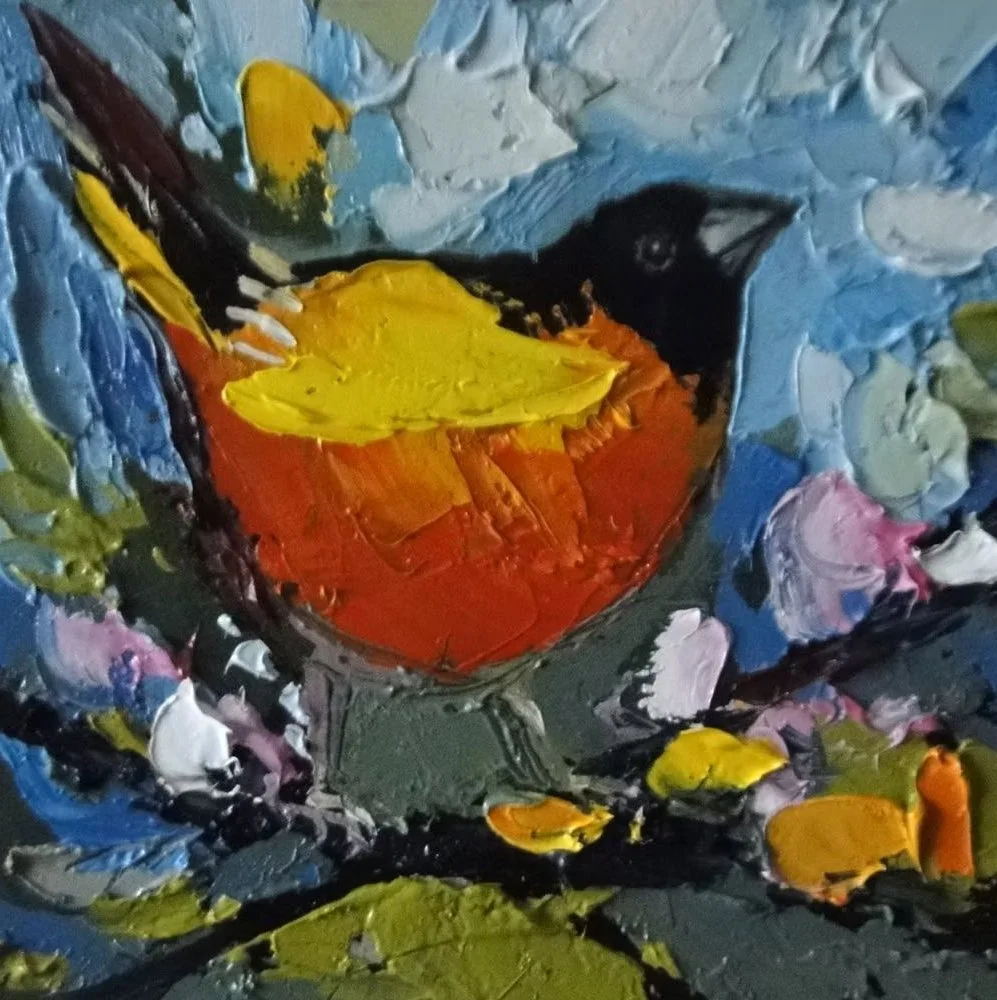 Baltimore Oriole