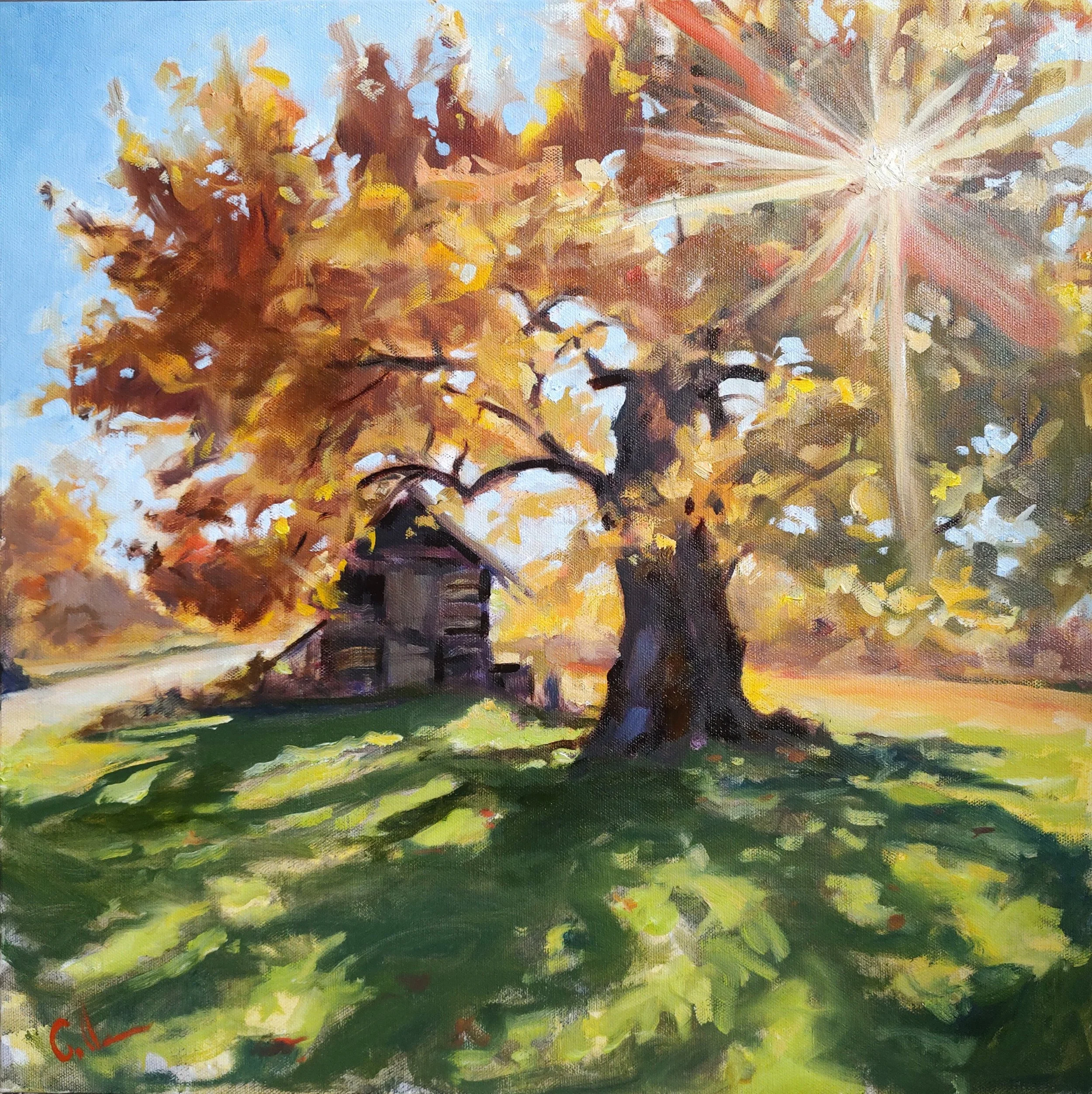 Amber Glow 20x20 ooc 960.jpg