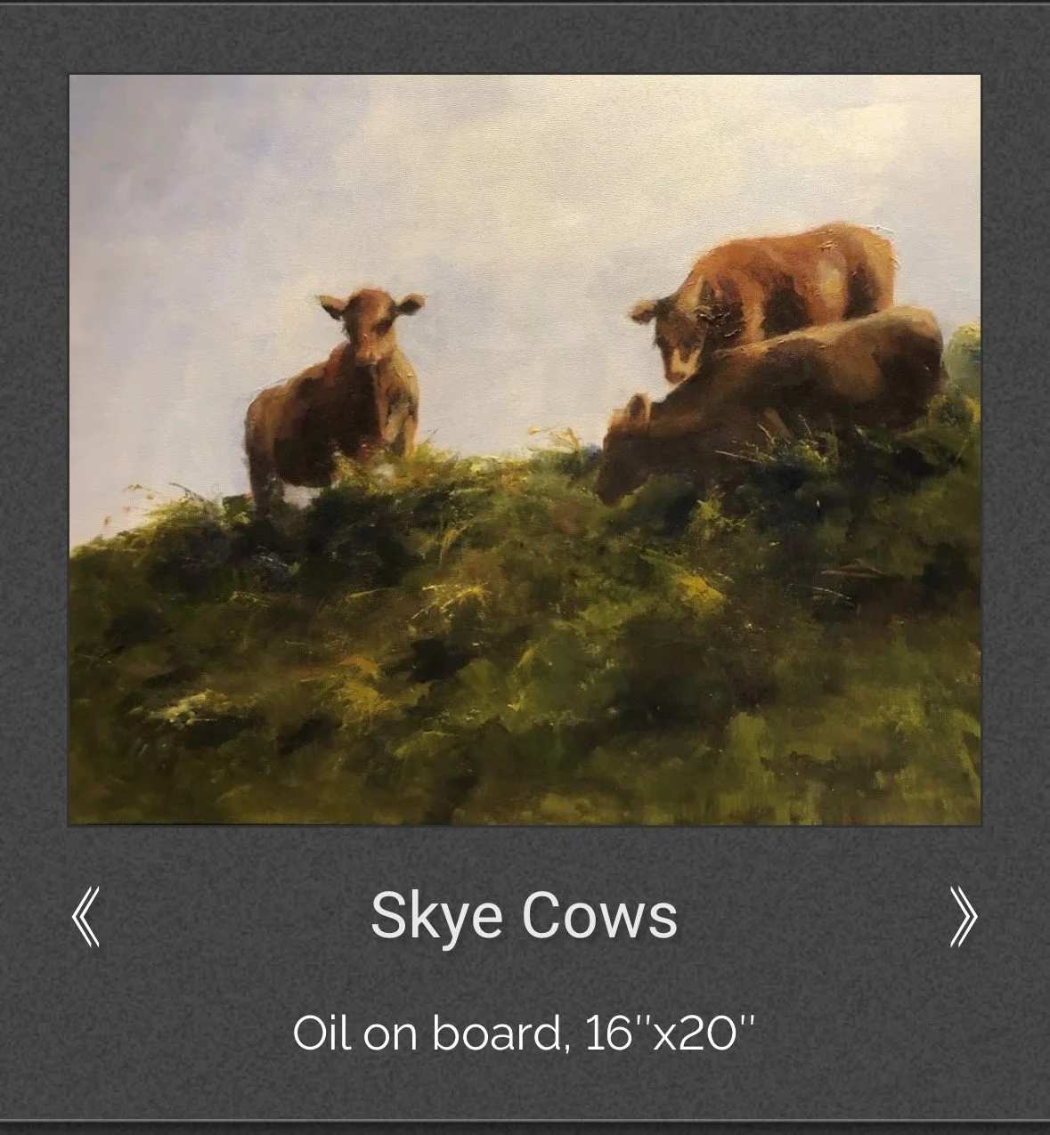 Skye Cows