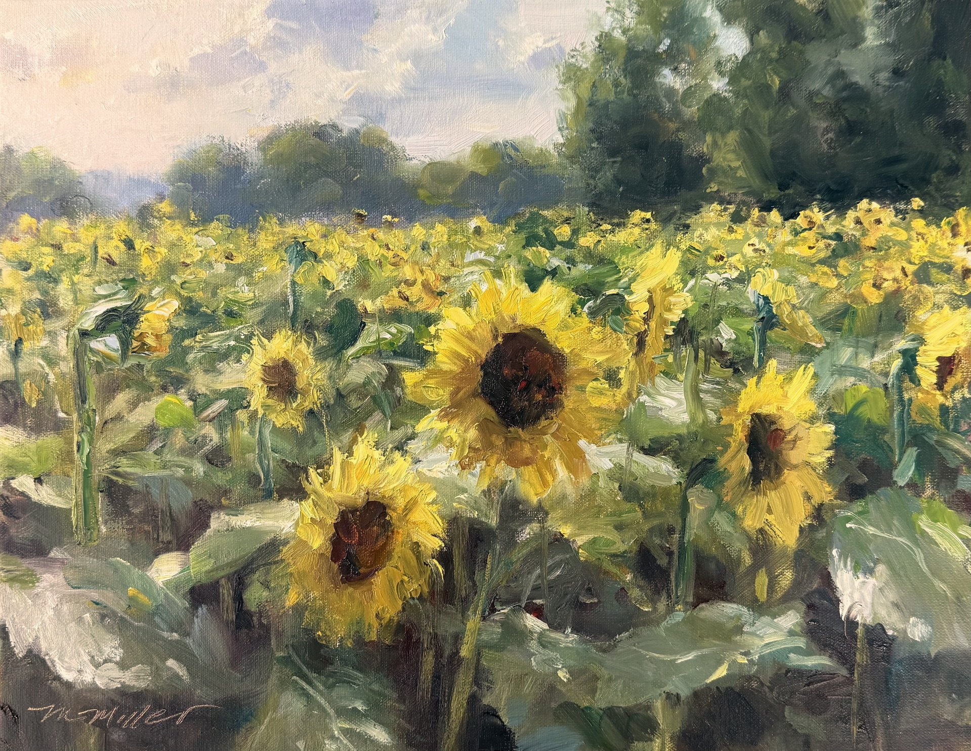 Summer Sunflowers