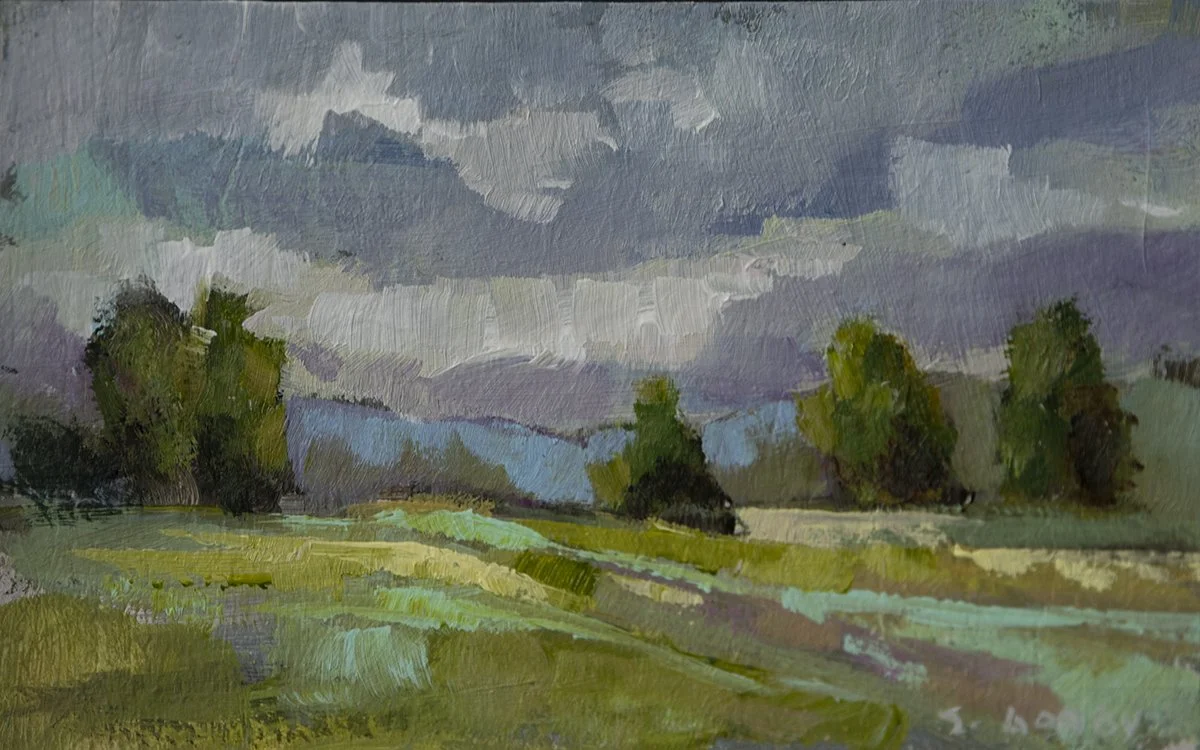 shannongodby_coloradospring_8x5_aop_300.jpg