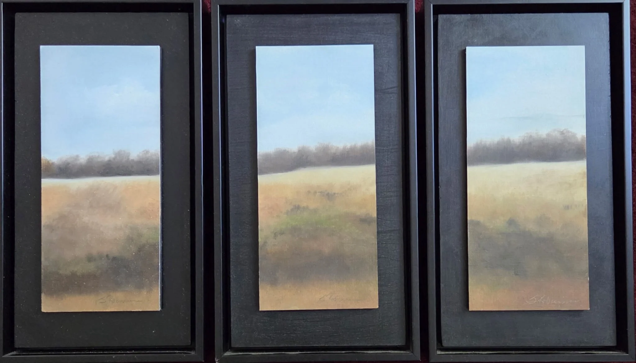 Meadow in Late Fall Triptch 7x12.5 x 3 1200.jpeg