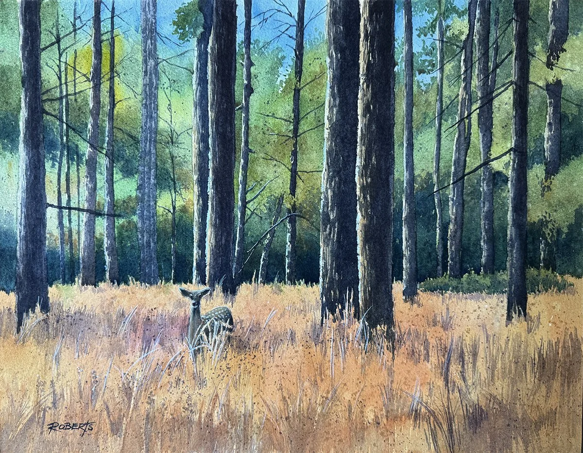 Visiting Fawn_14x18.jpg