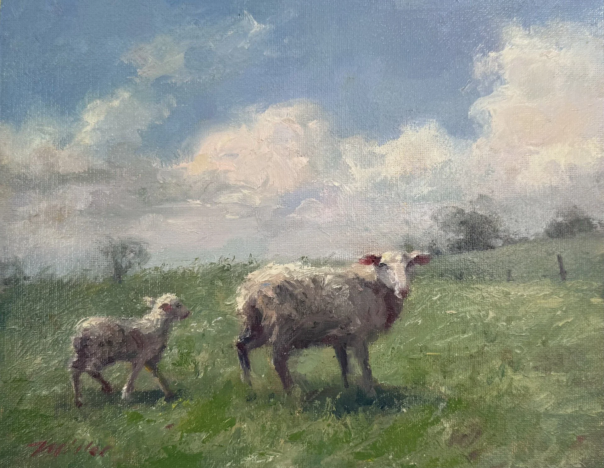 Spring Lamb
