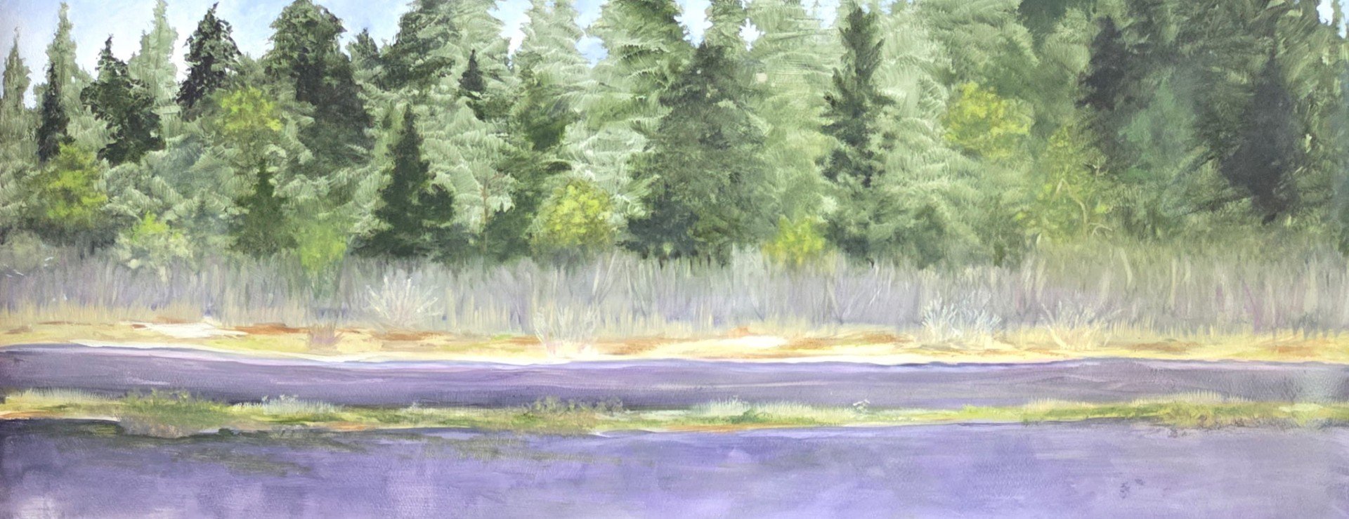 Suzanne Robinson - Solitude 36x14.5 framed.jpg