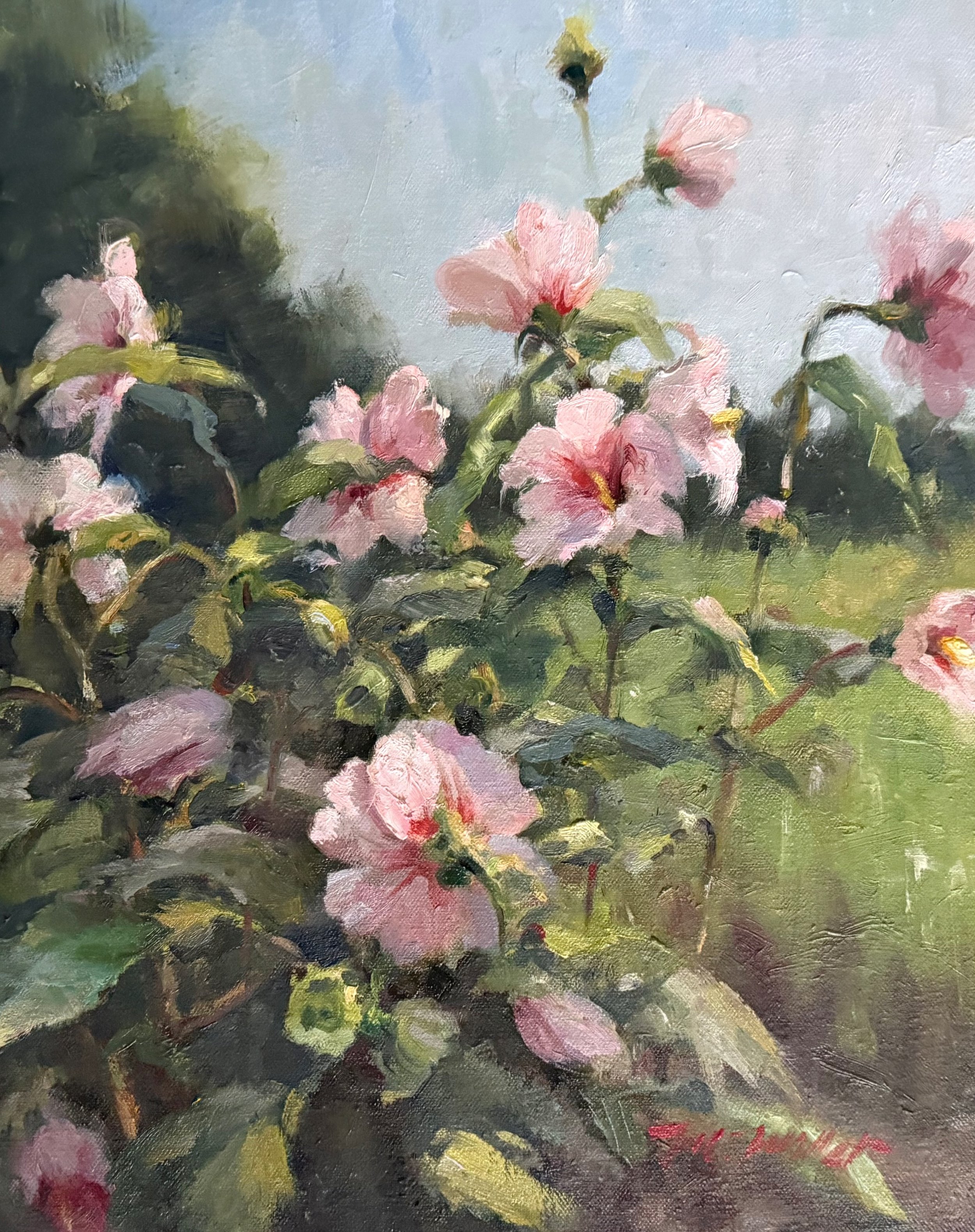 Swamp Hibiscus