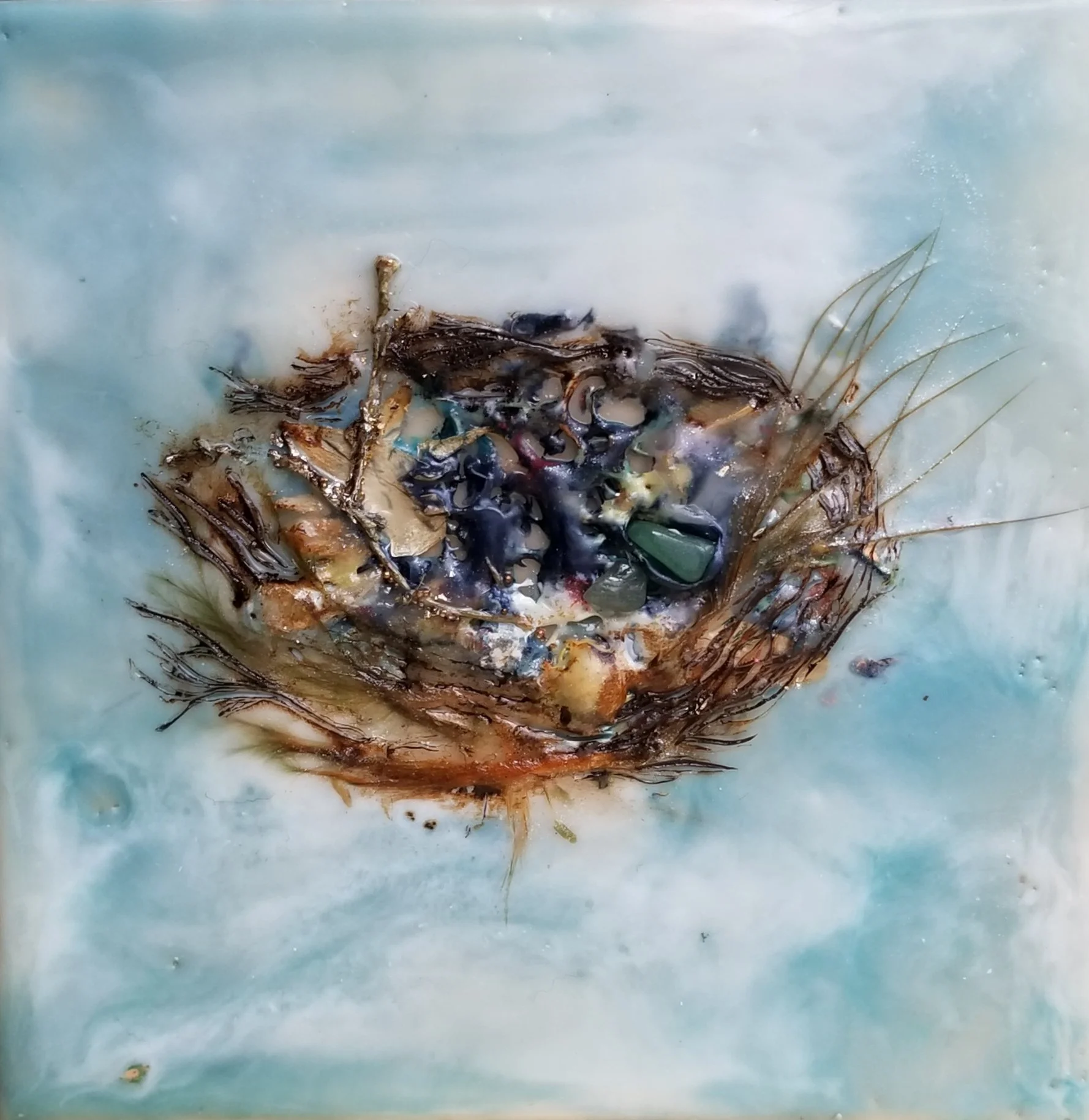 Nest V