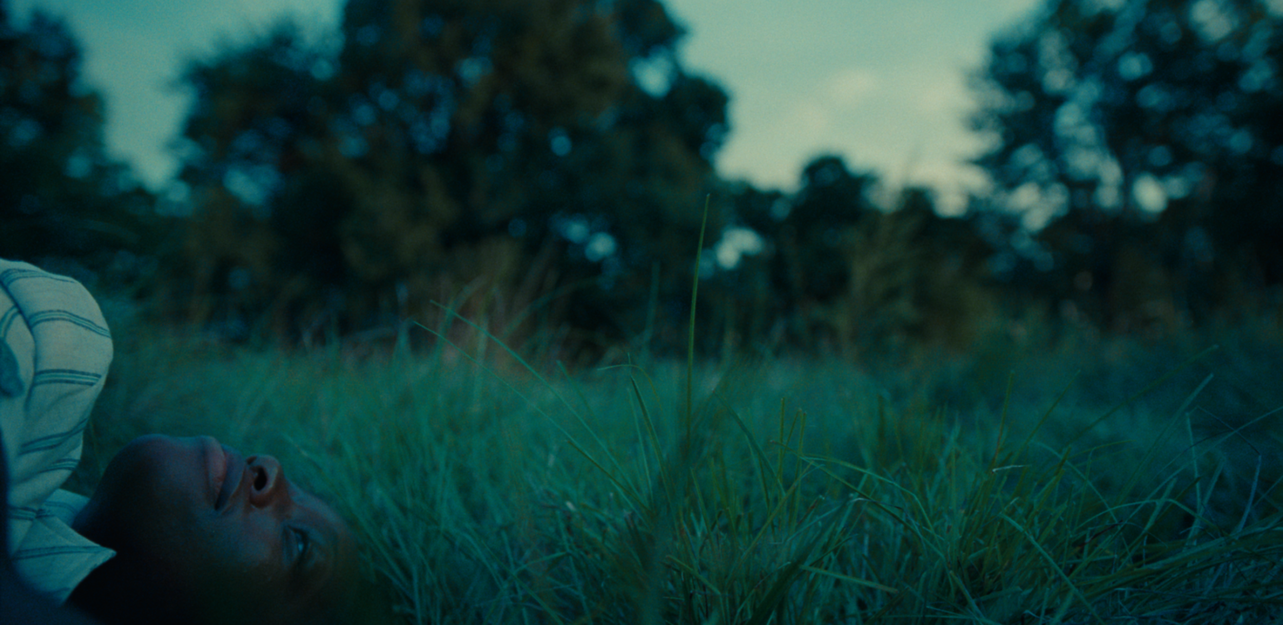 Screen Shot 2022-07-31 at 2.53.23 PM.PNG