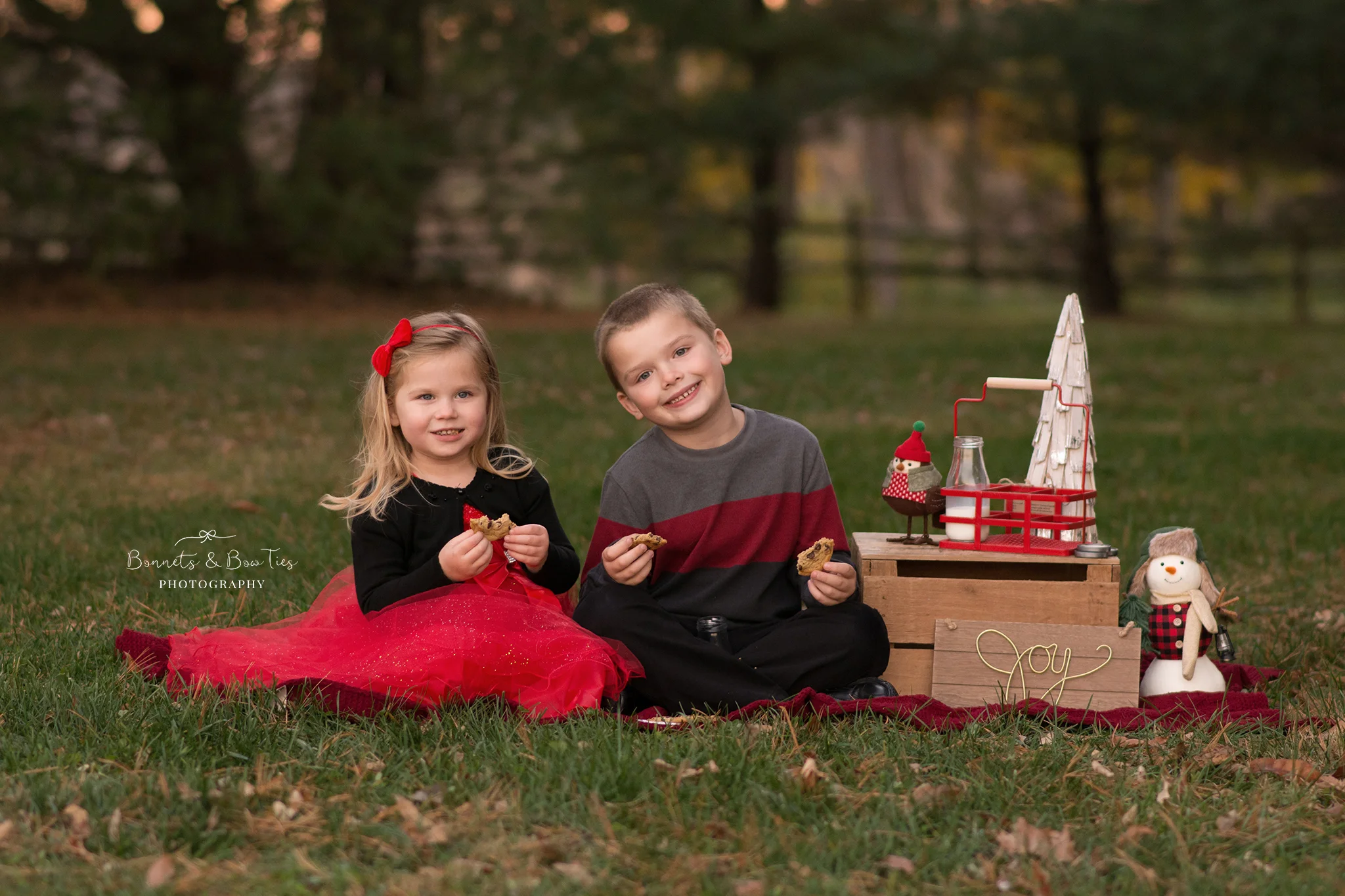 christmas portrait york pa.jpg