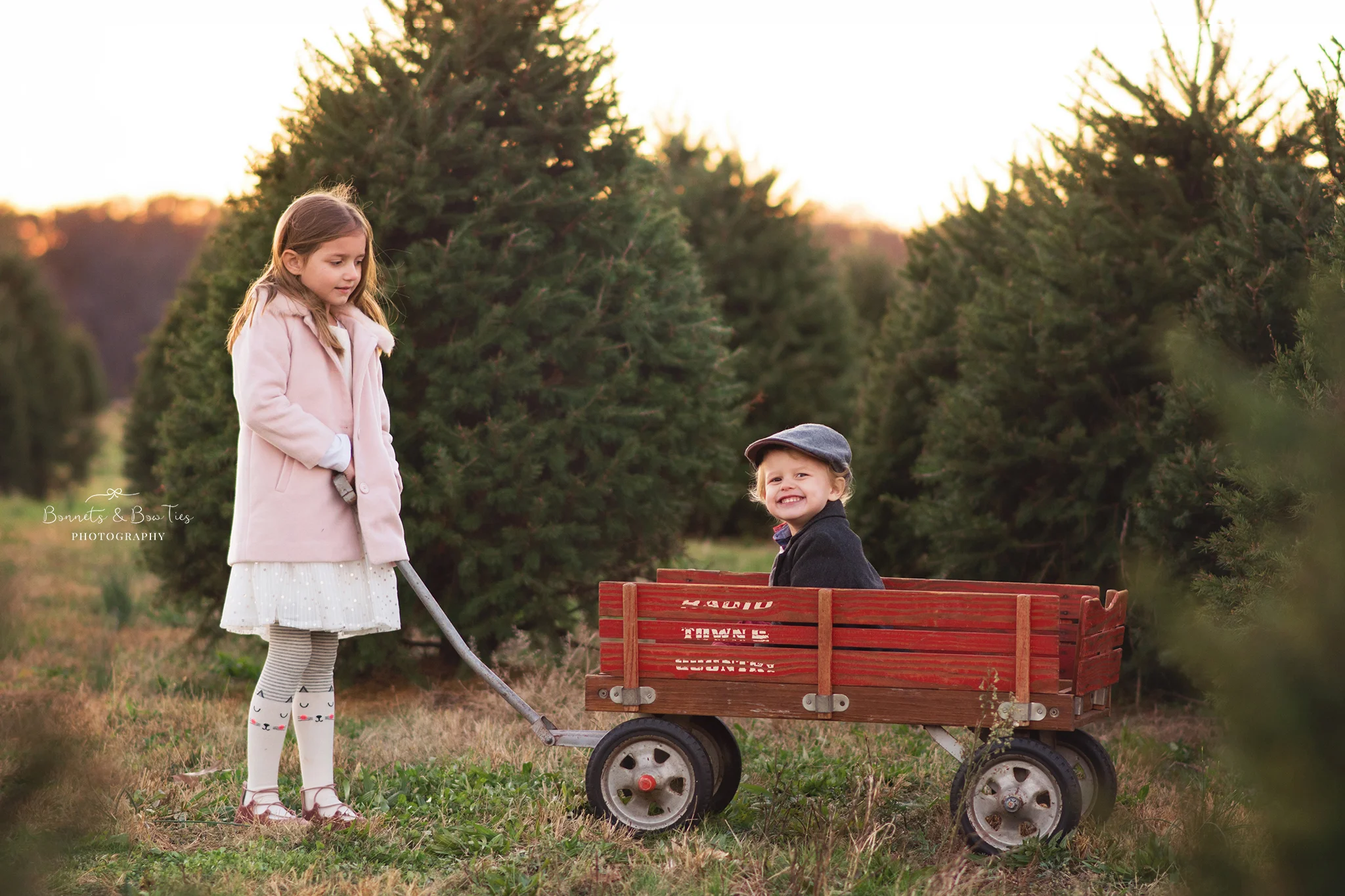 boy in wagon at a christmas tree farm.jpg