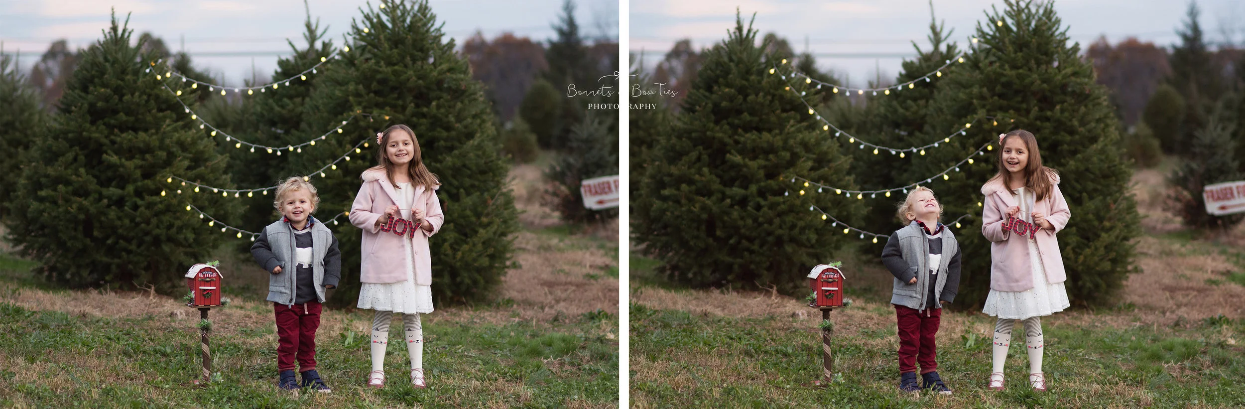 professional christmas pictures in york pa.jpg