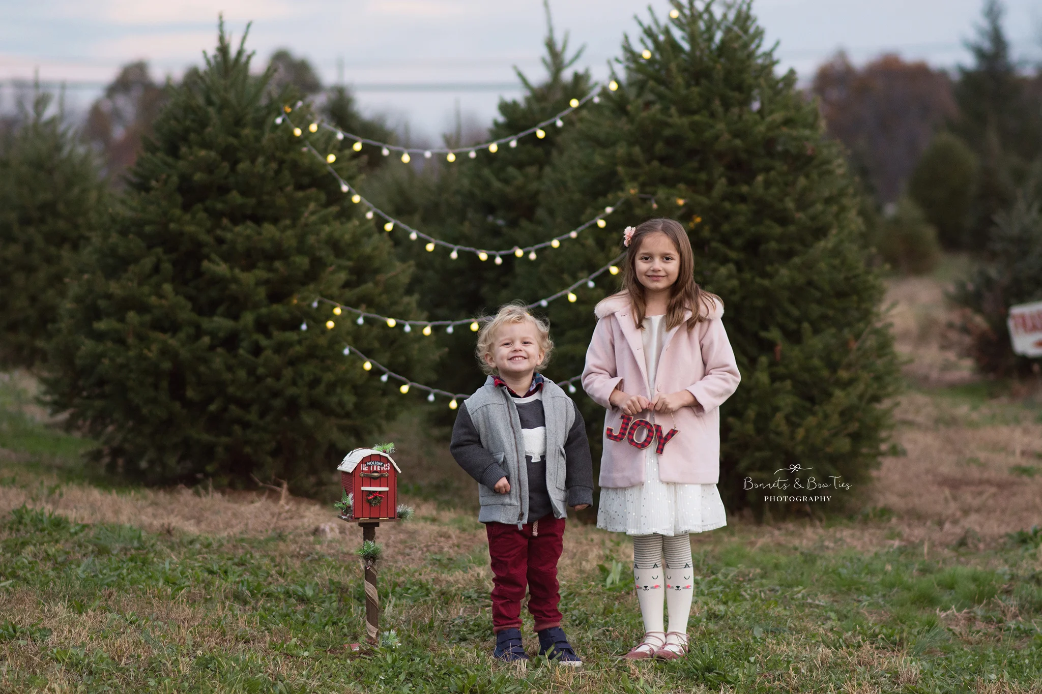 christmas tree farm session with children at haring tree farm.jpg