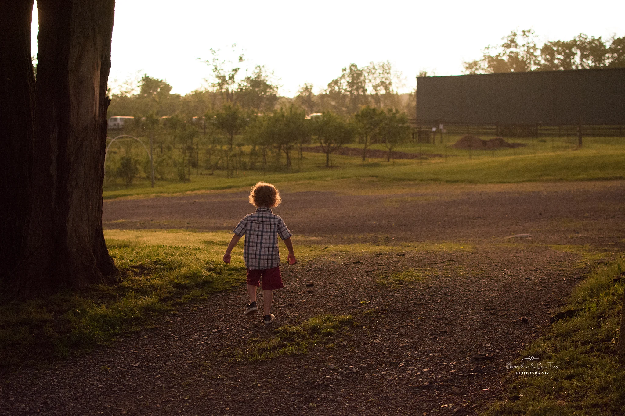 golden hour portrait of a young boy.jpg