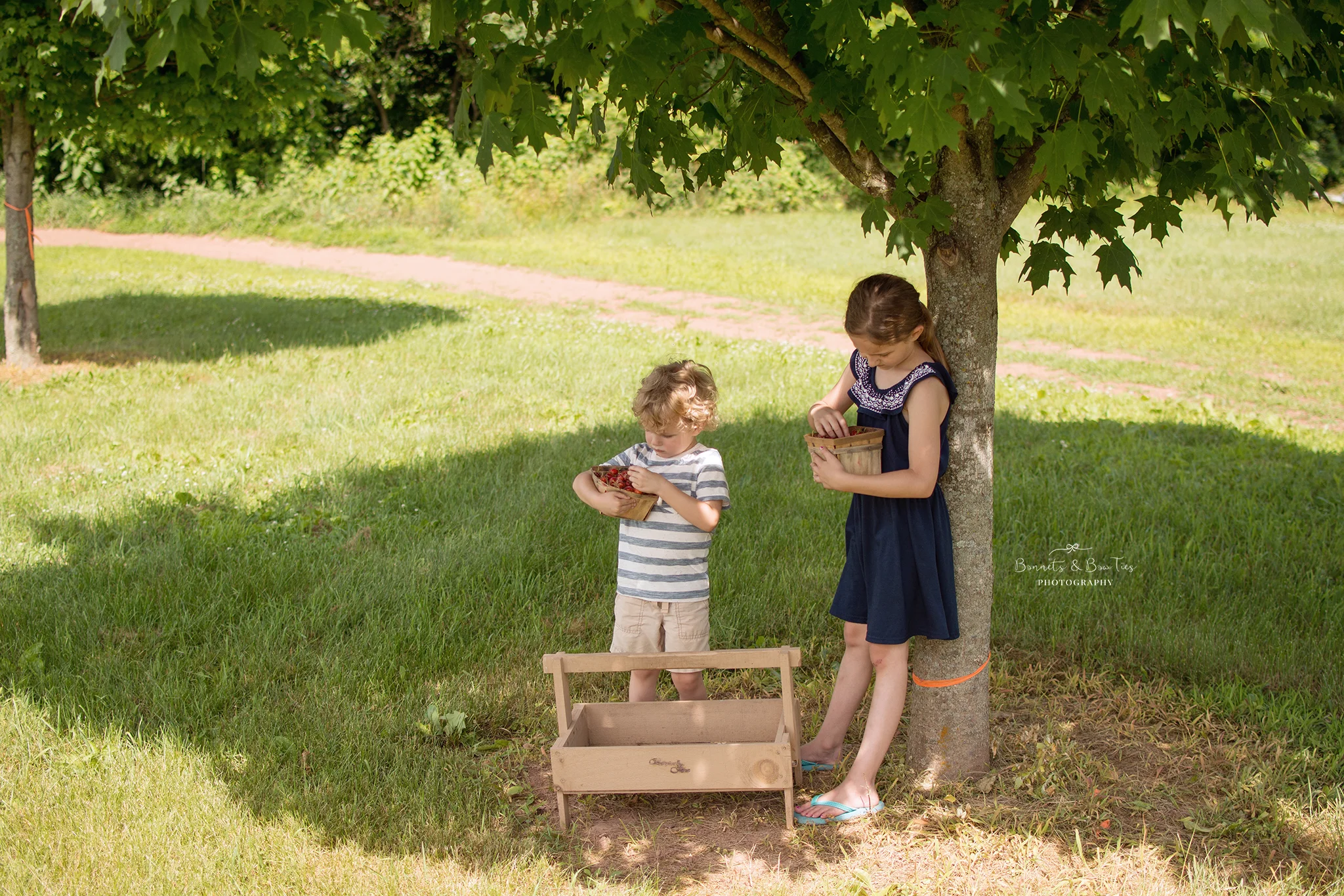 strawberry picking at barefoot farm.jpg