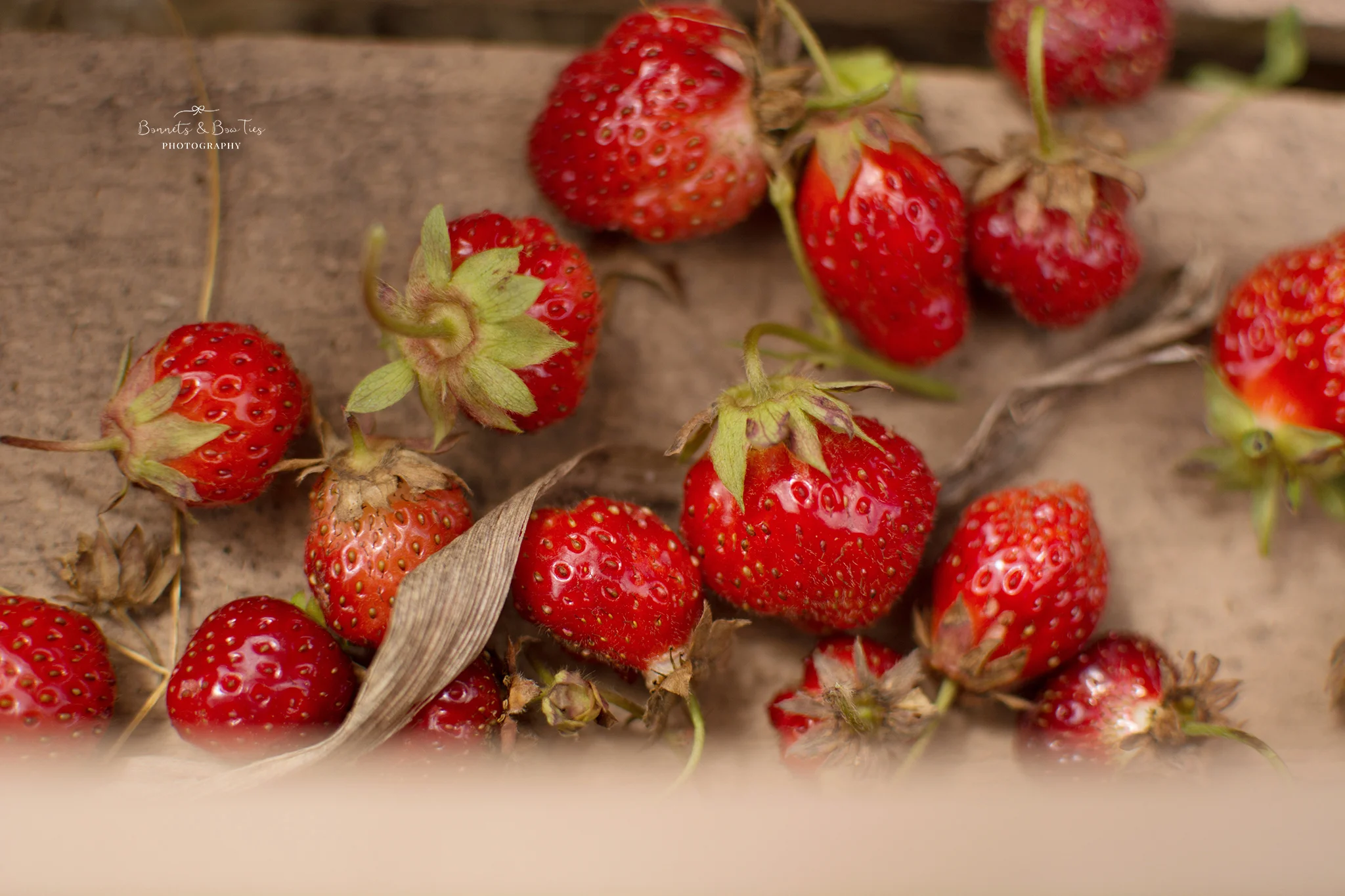 bunches of strawberries.jpg