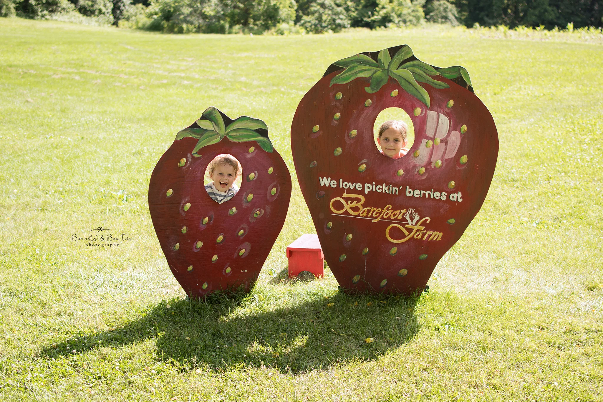barefoot farms.jpg