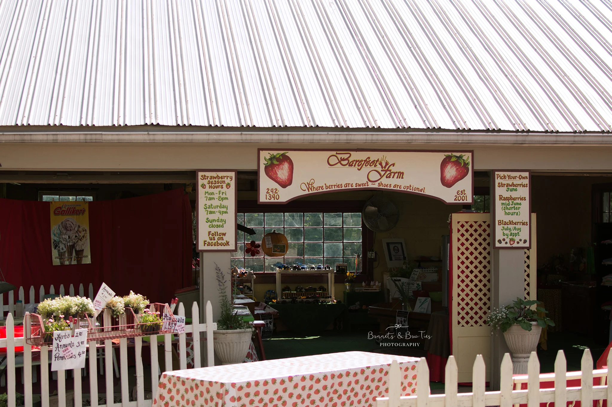 store at barefoot farms.jpg