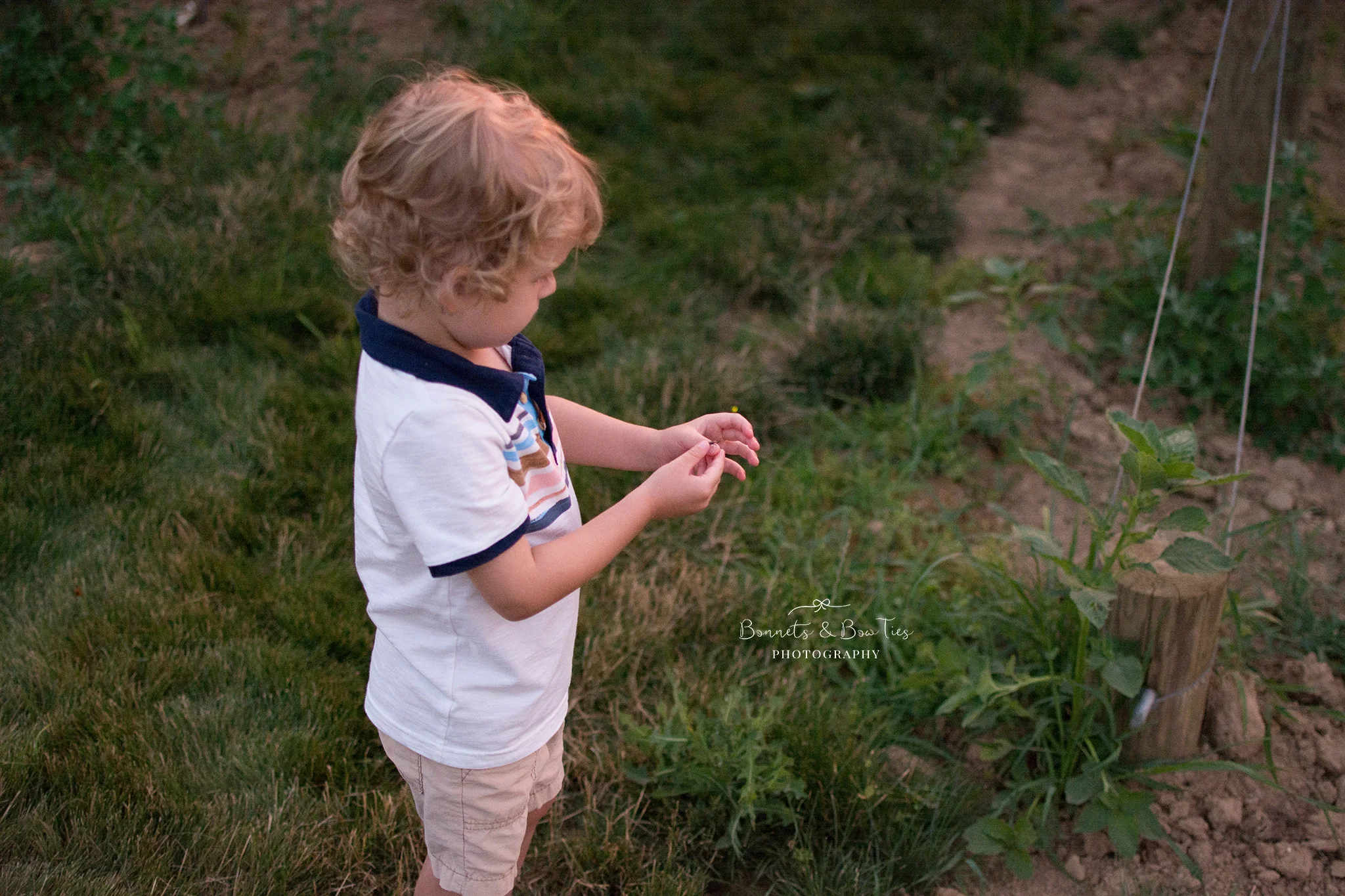 boy catching lightning bugs.jpg
