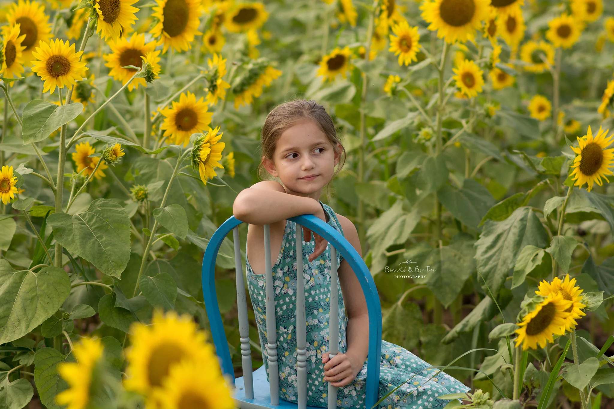 portrait session in sunflowers.jpg