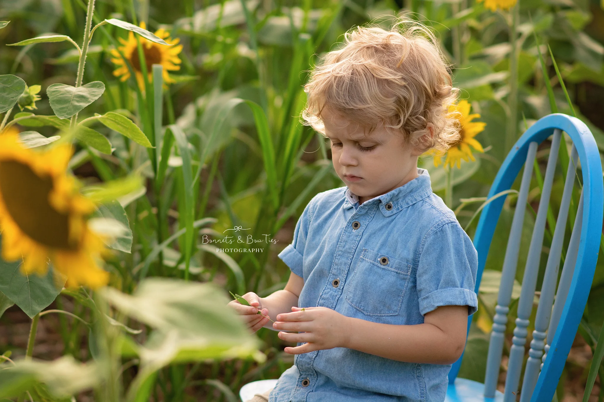 york pa photographer.jpg