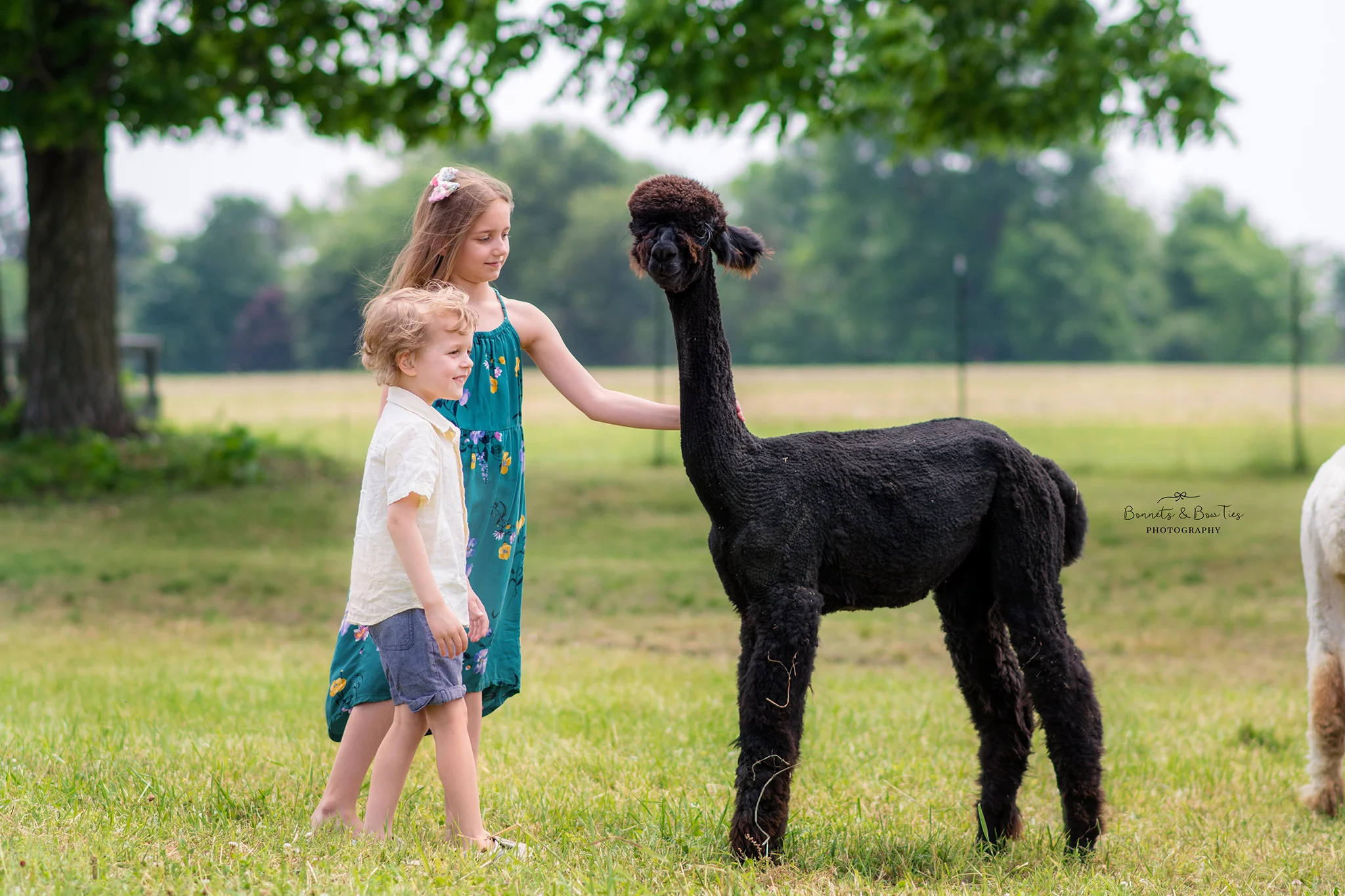 children's photographer in mount wolf pa.jpg