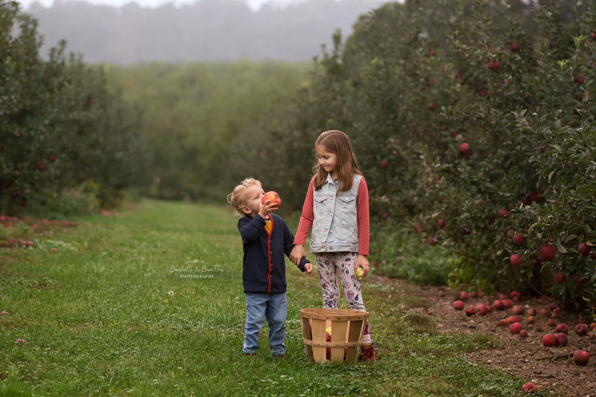 aple orchard mini session mount wolf pa.jpg