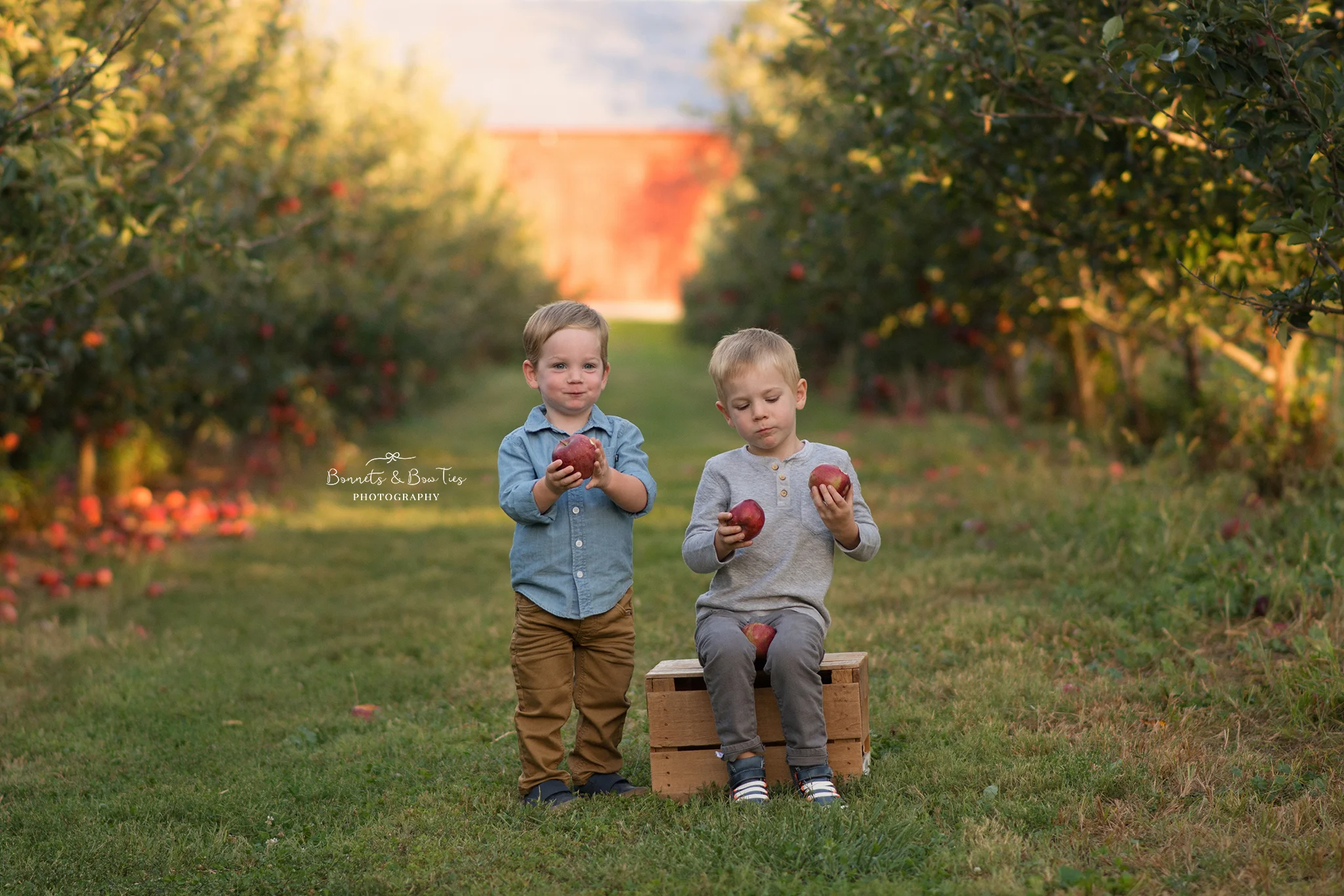 children's session at apple orchard.jpg