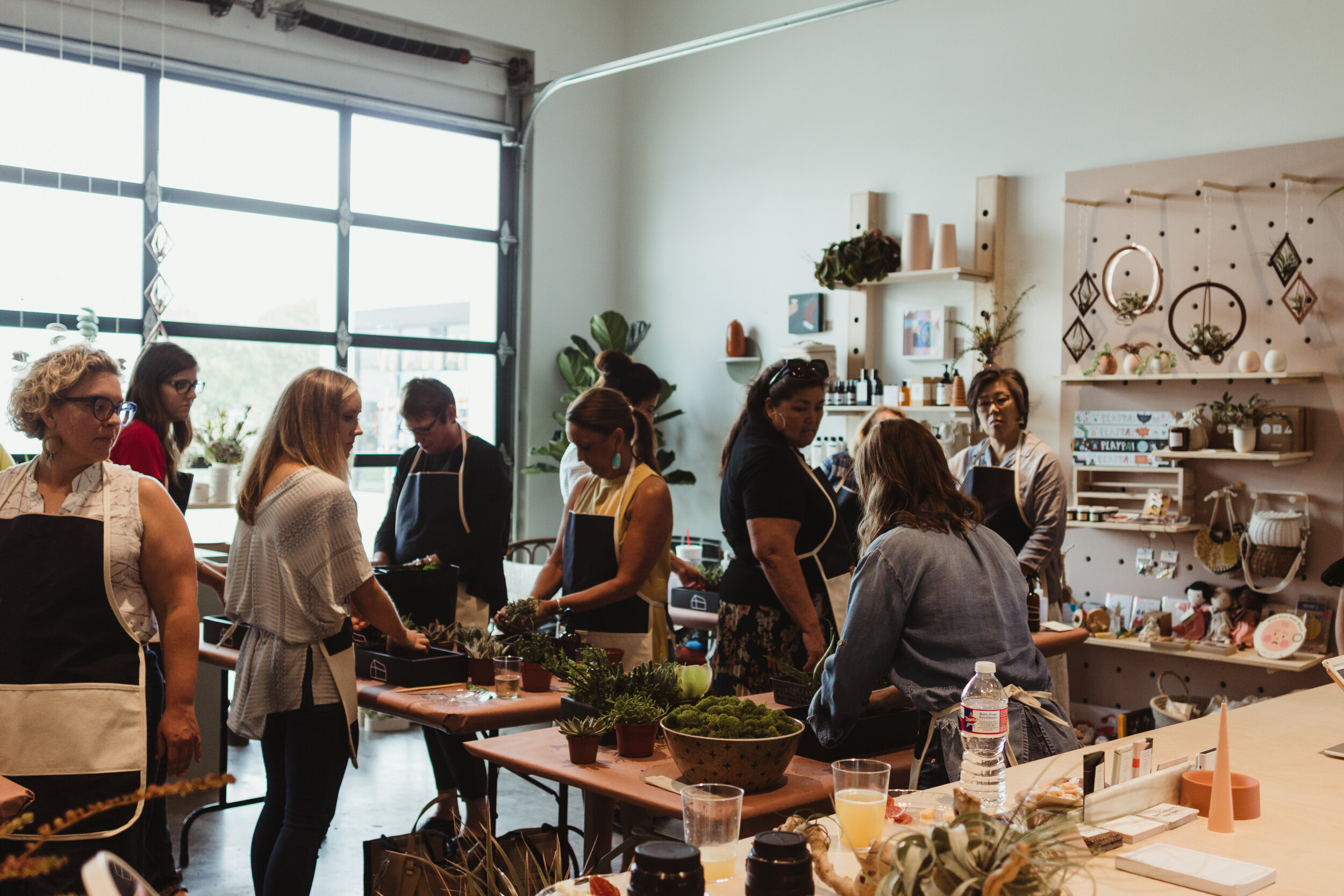 gifted_class_workshop_succulent23.jpg